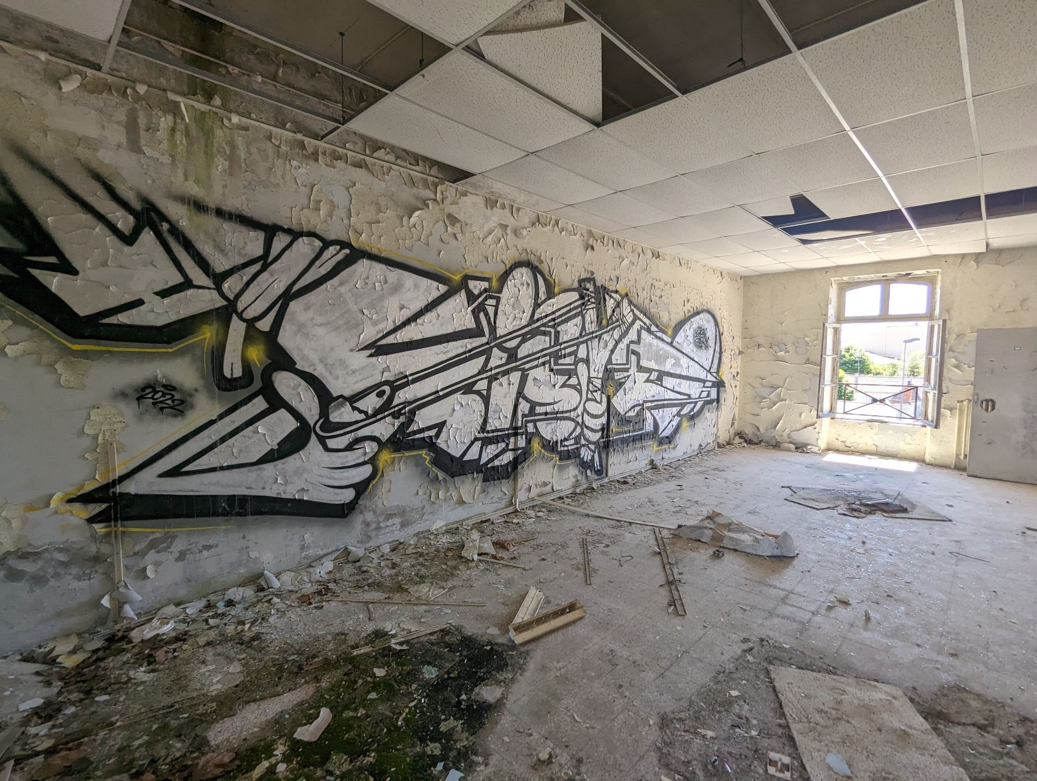 PXL 20240510 120834968