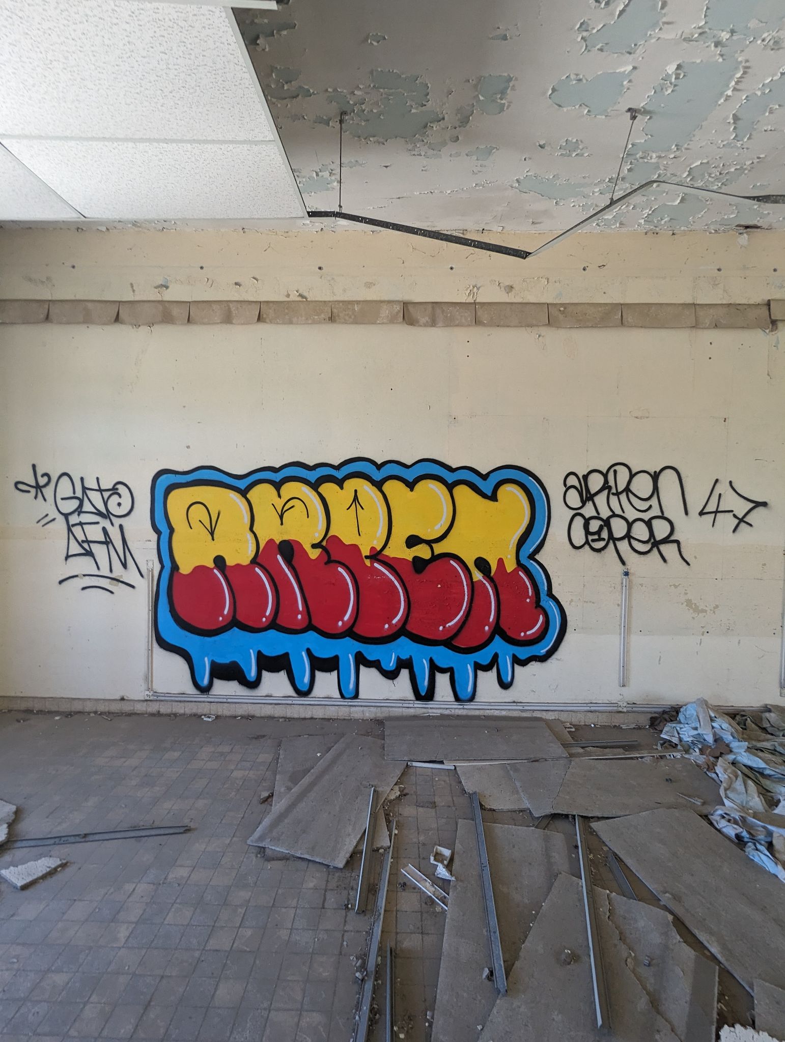 PXL 20240510 121717158