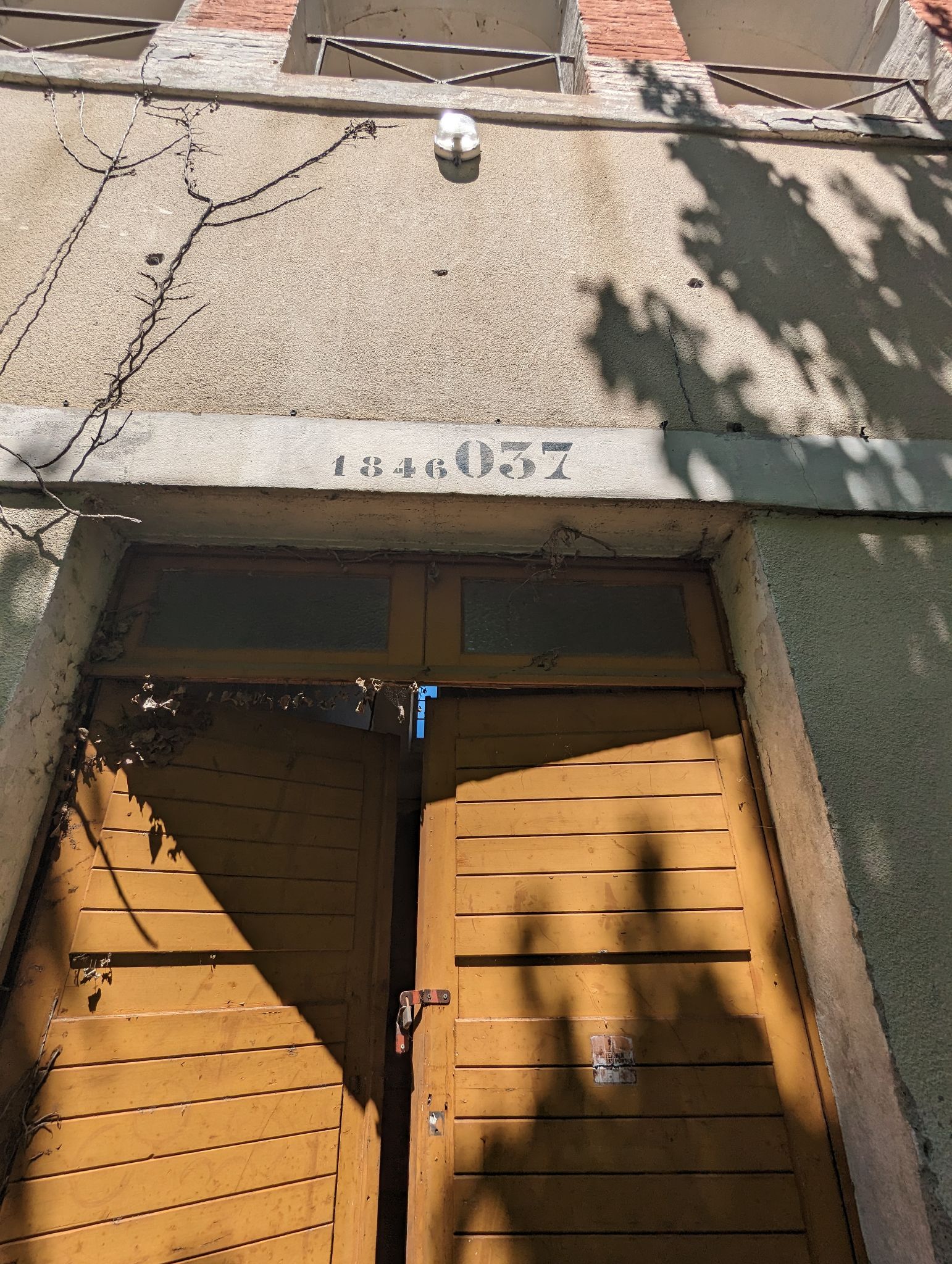 PXL 20240510 122806506