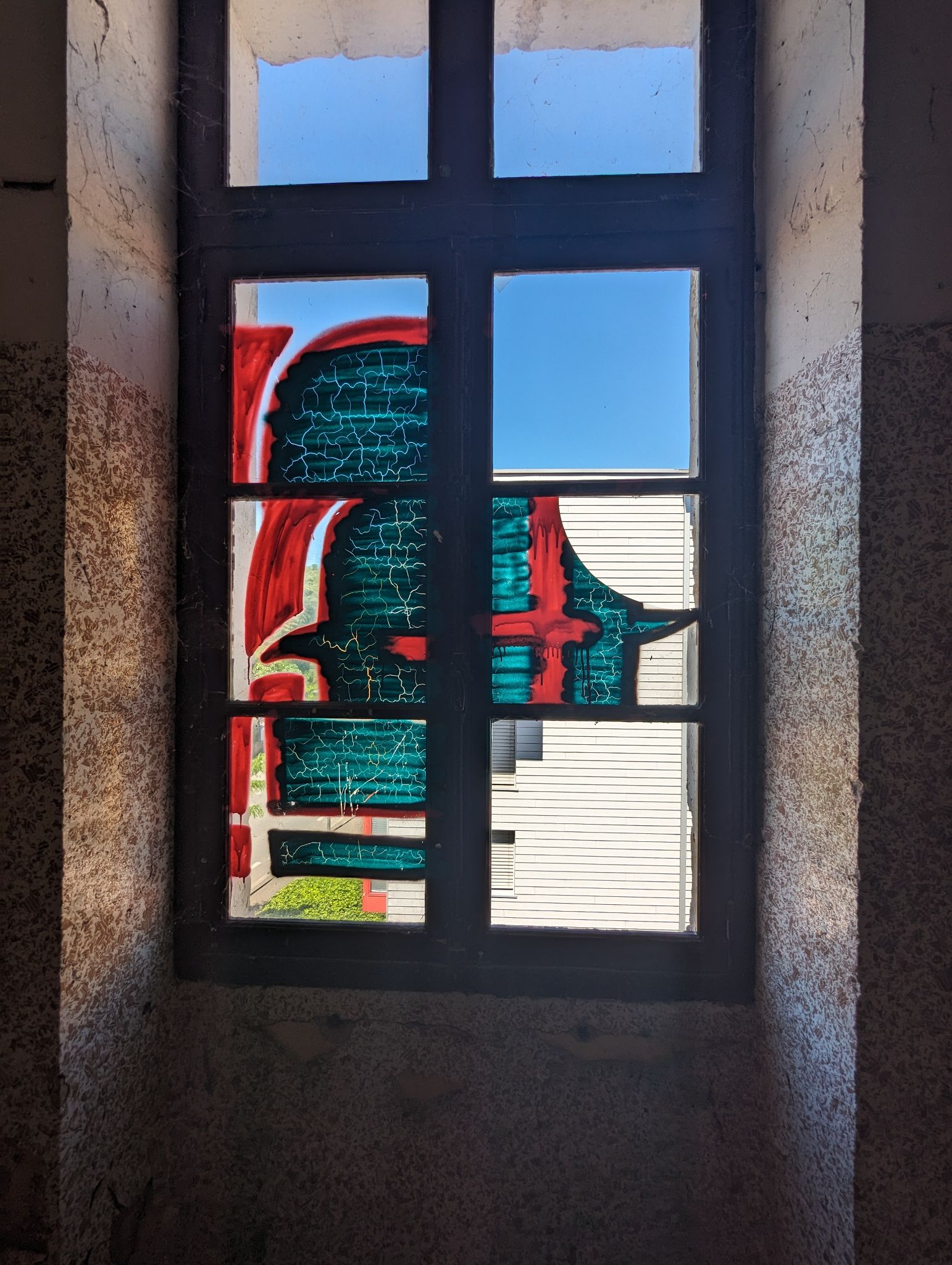 PXL 20240510 123834028