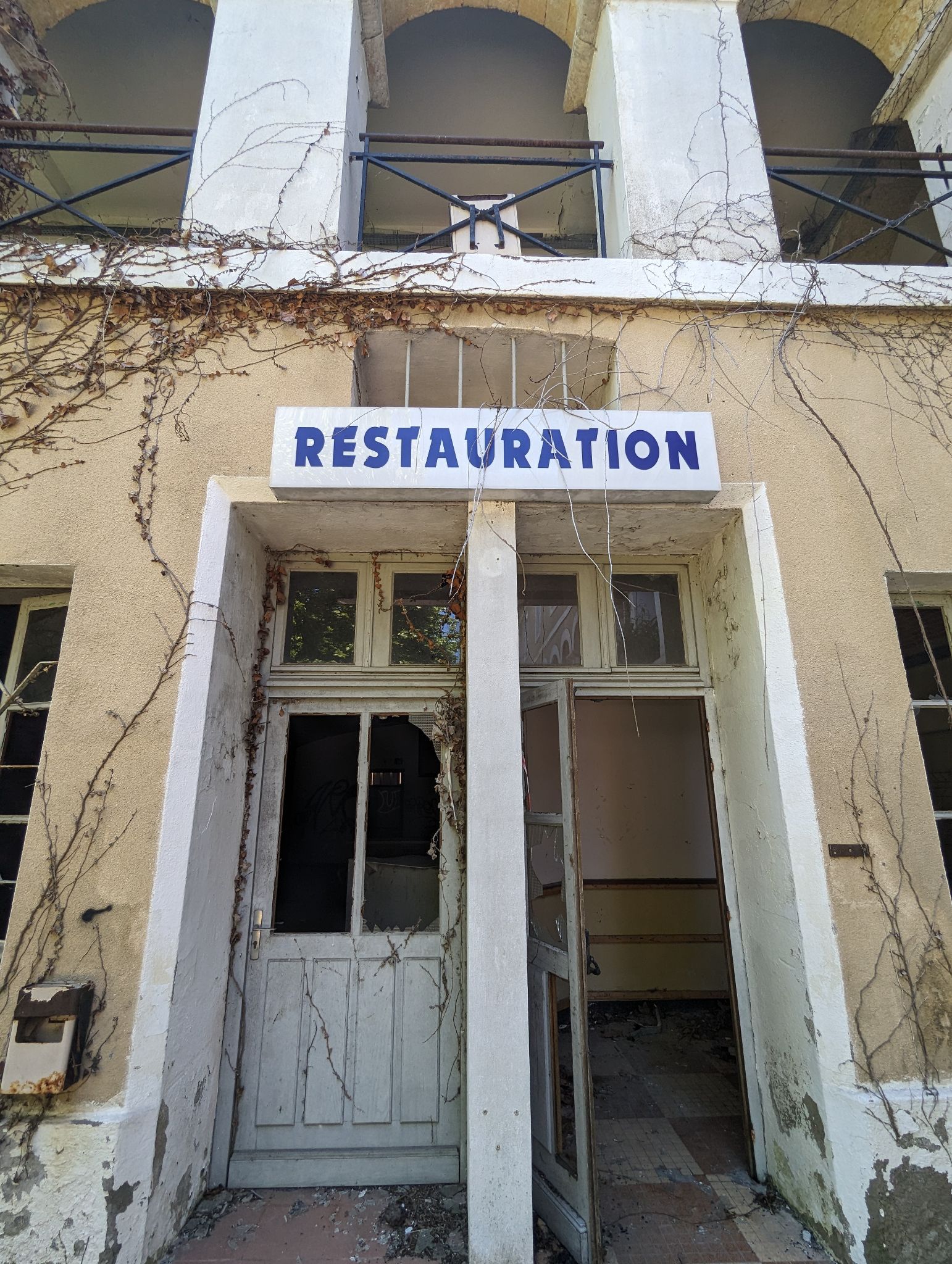 PXL 20240510 124916365