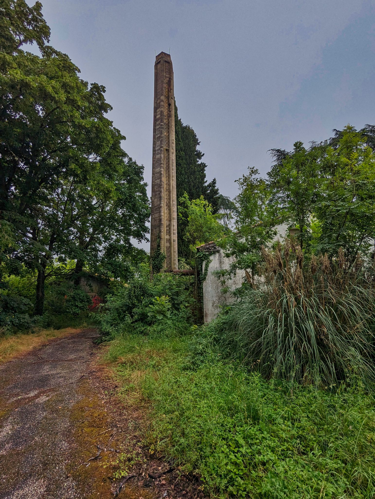 PXL 20240609 091941537