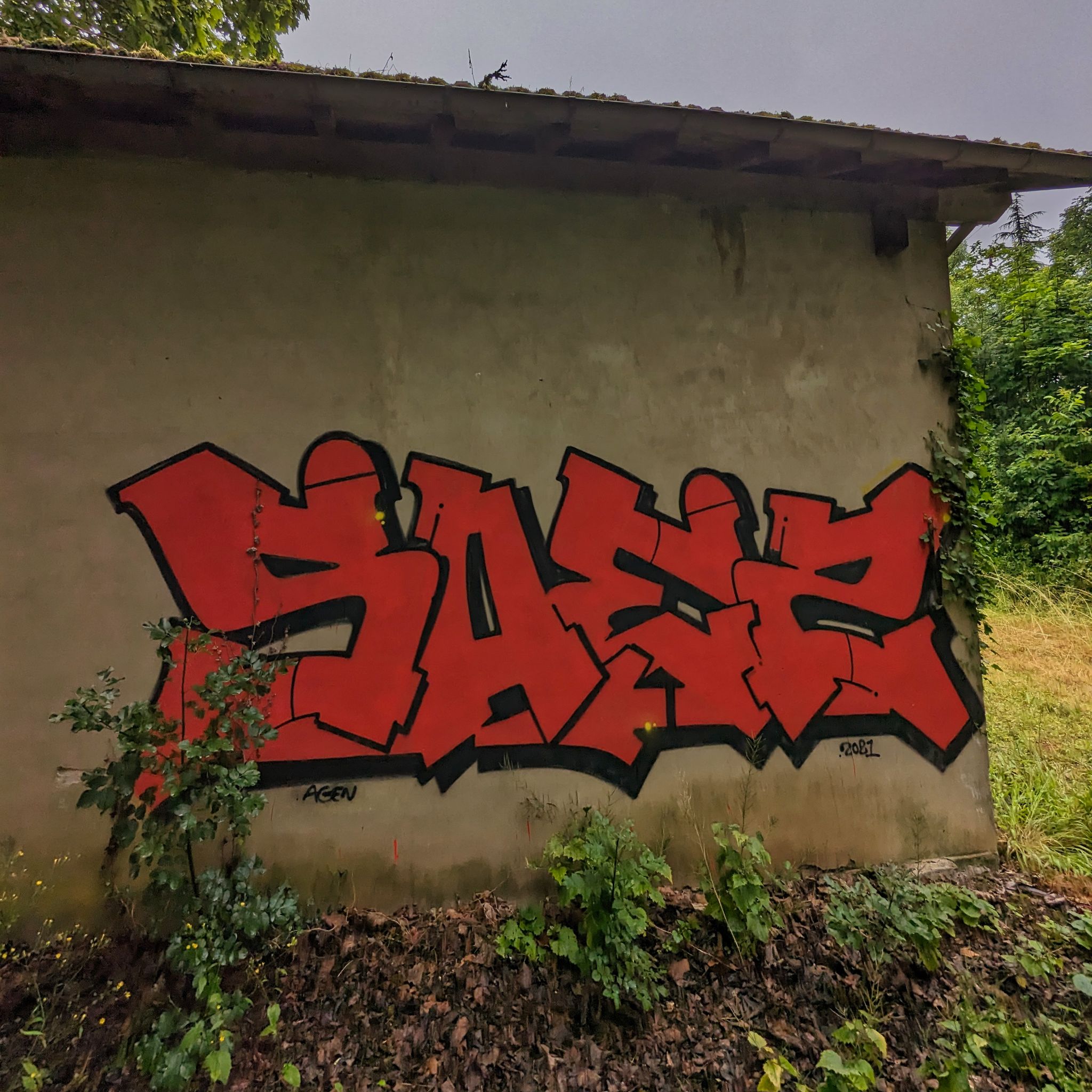 PXL 20240609 092015743