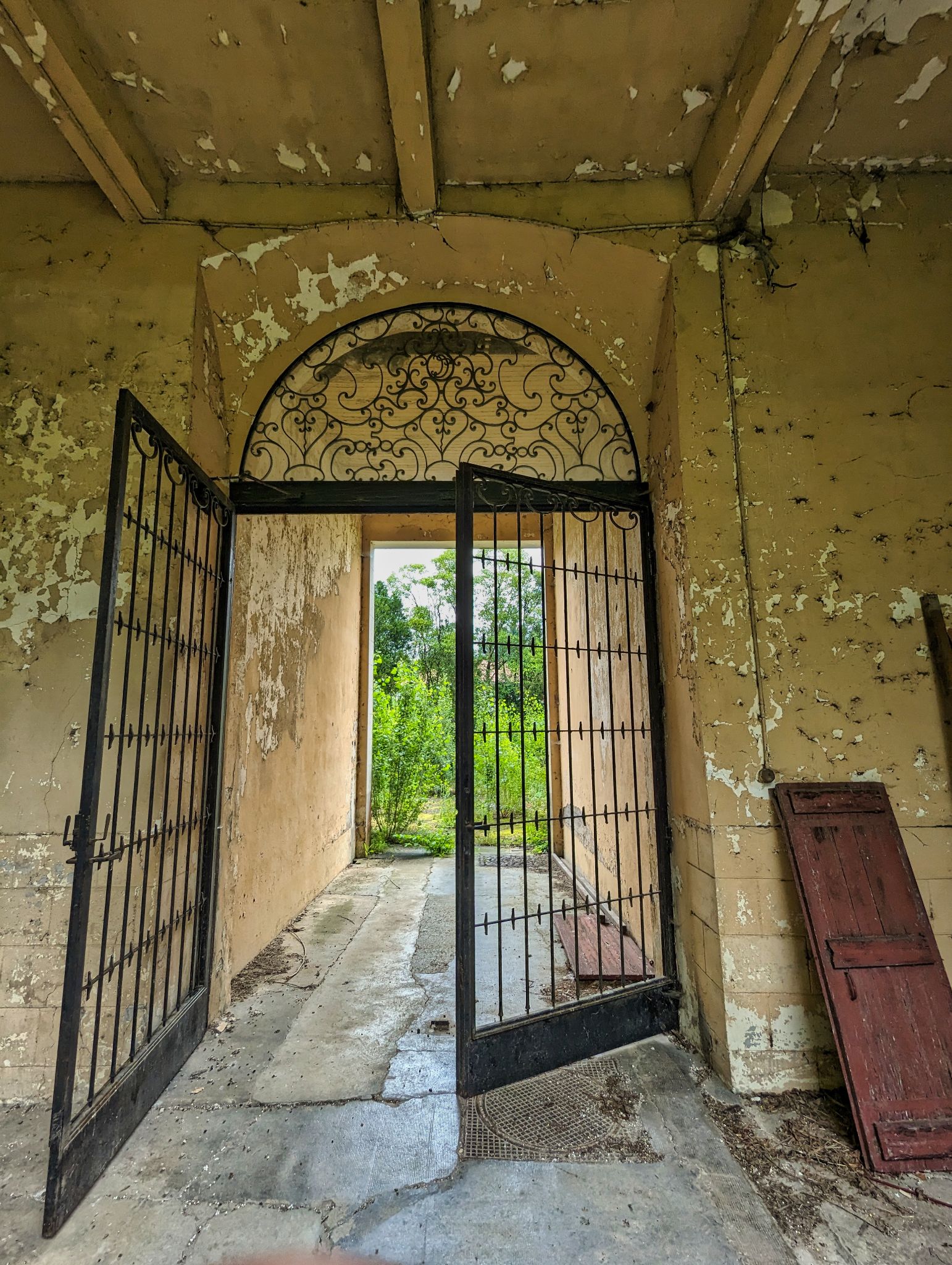 PXL 20240609 093957949