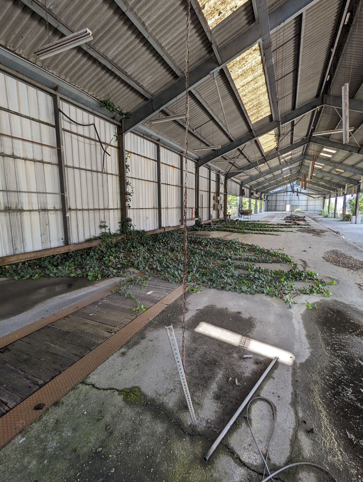 PXL 20240508 122415073