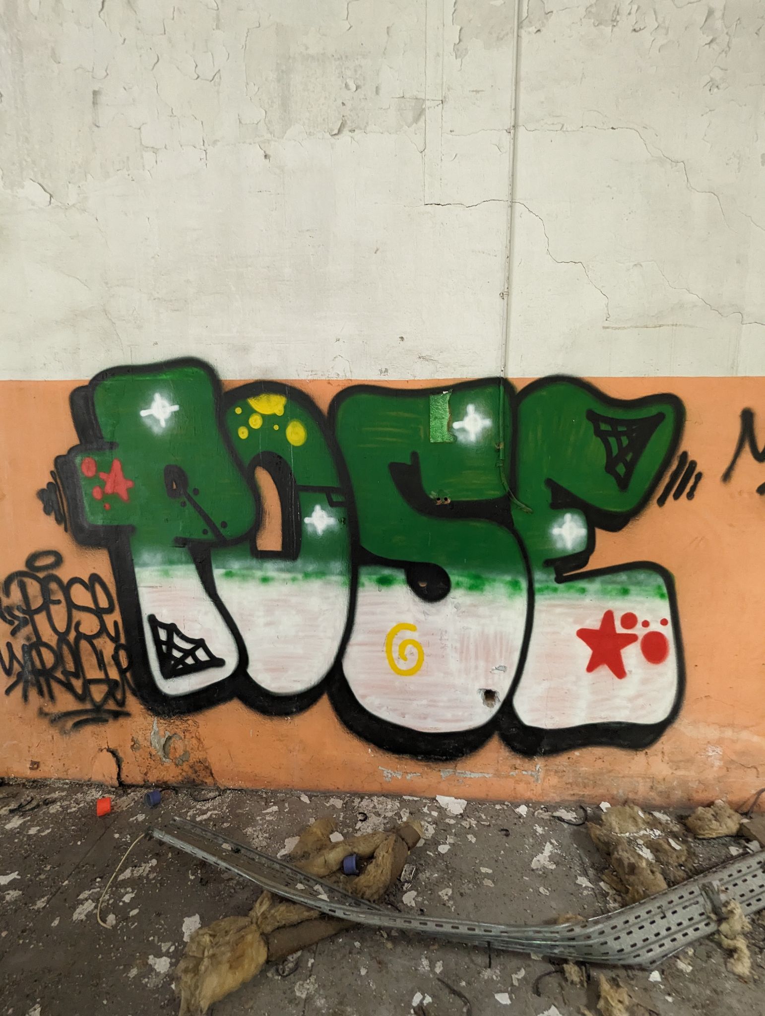 PXL 20240408 110742856