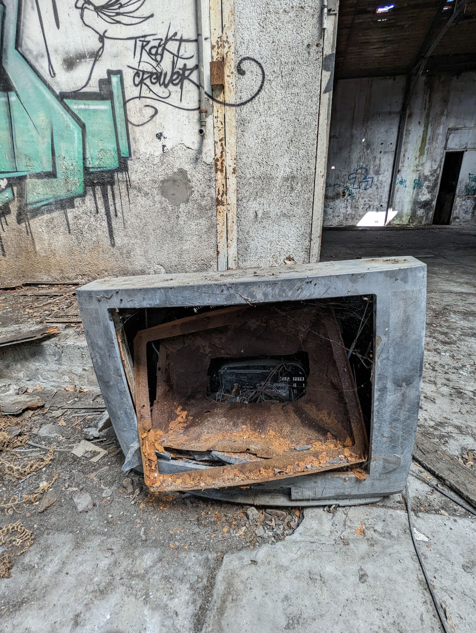 PXL 20240408 112038198