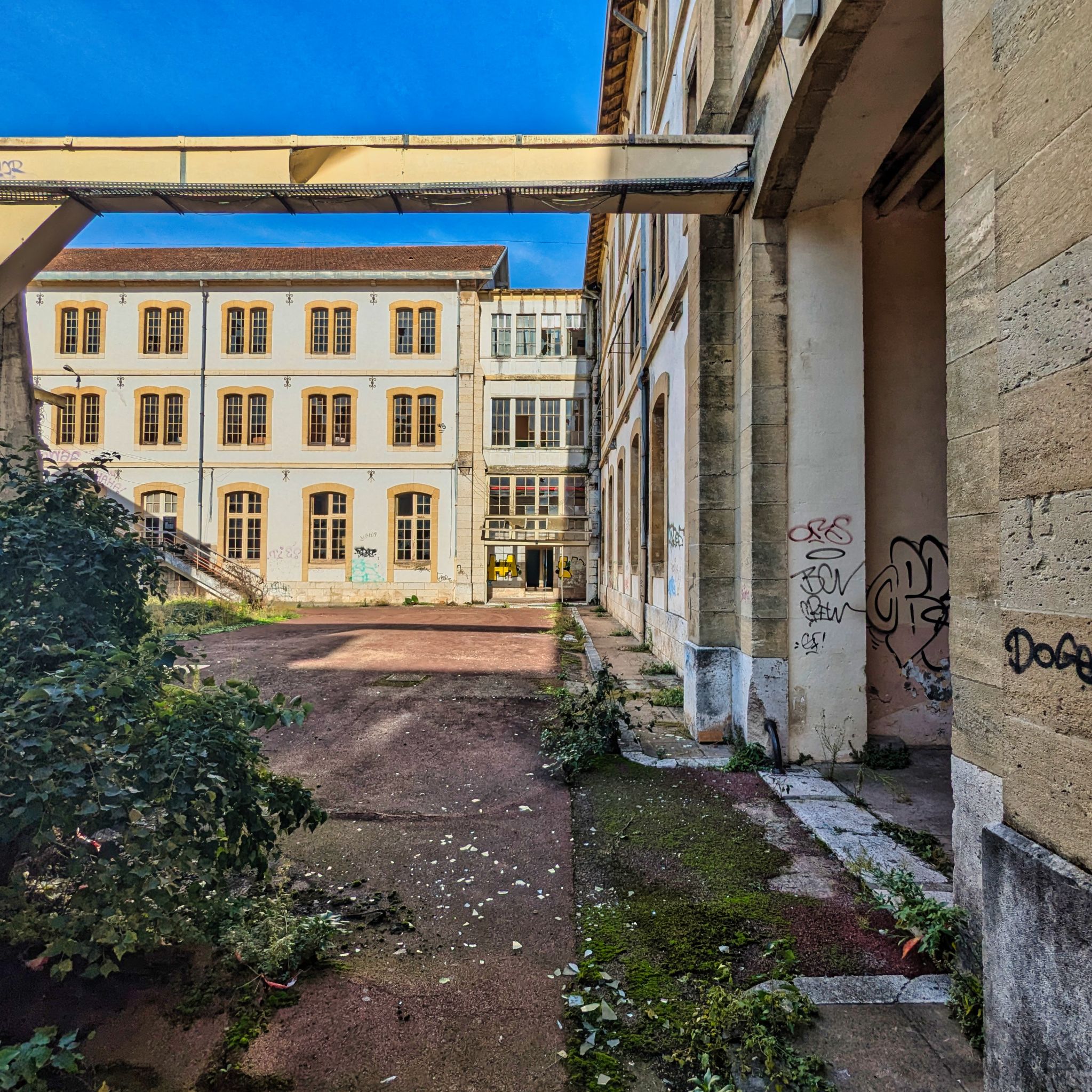 PXL 20241020 085259575