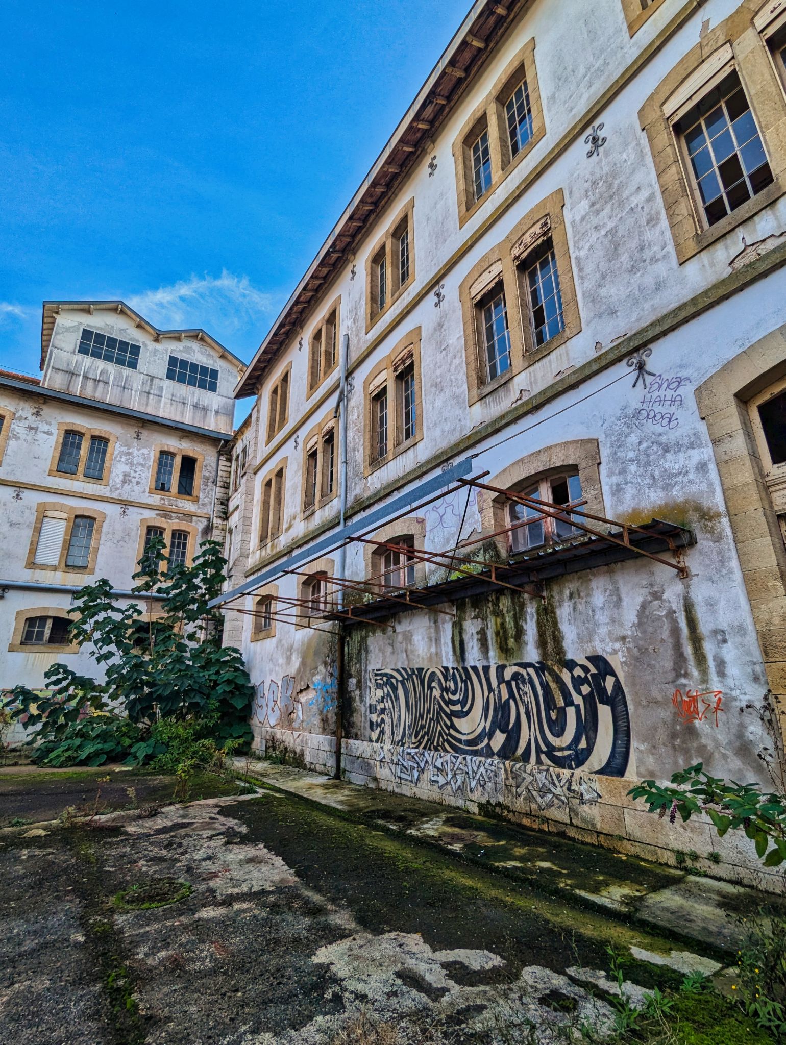 PXL 20241020 085740965