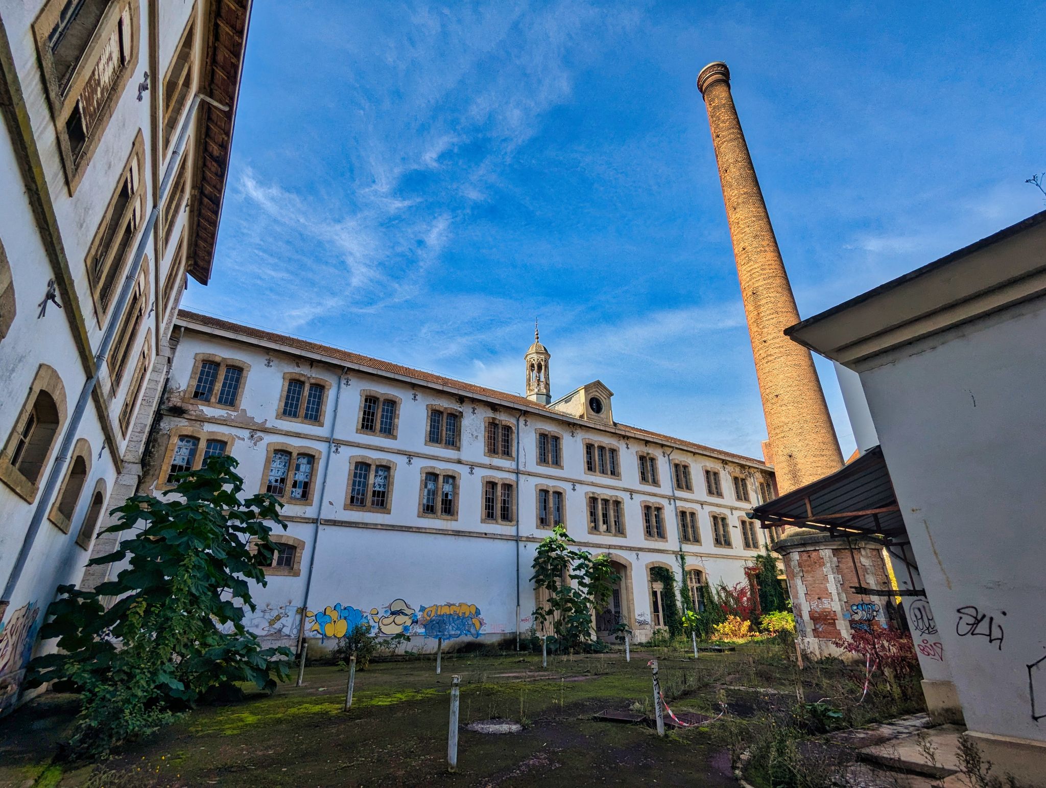 PXL 20241020 085929012