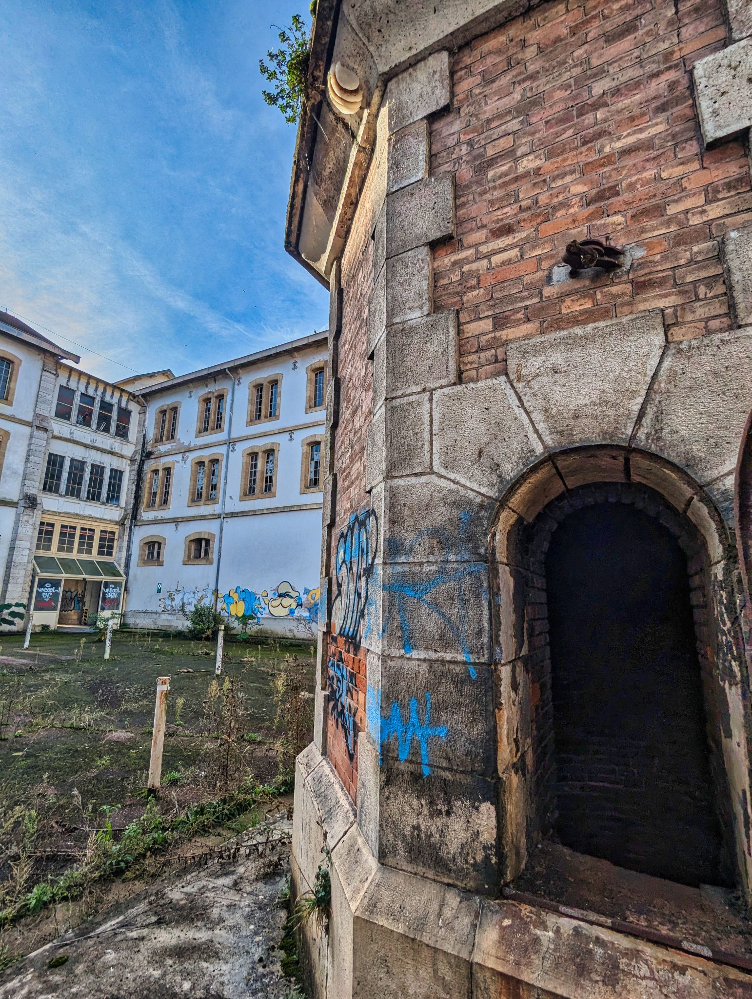 PXL 20241020 091044014