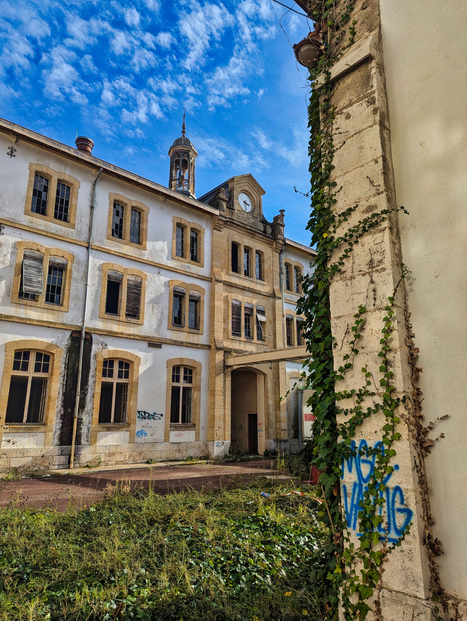 PXL 20241020 092434639