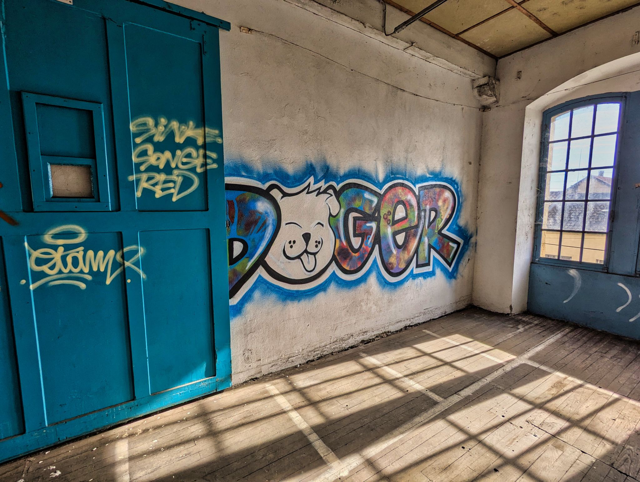 PXL 20241020 093611560