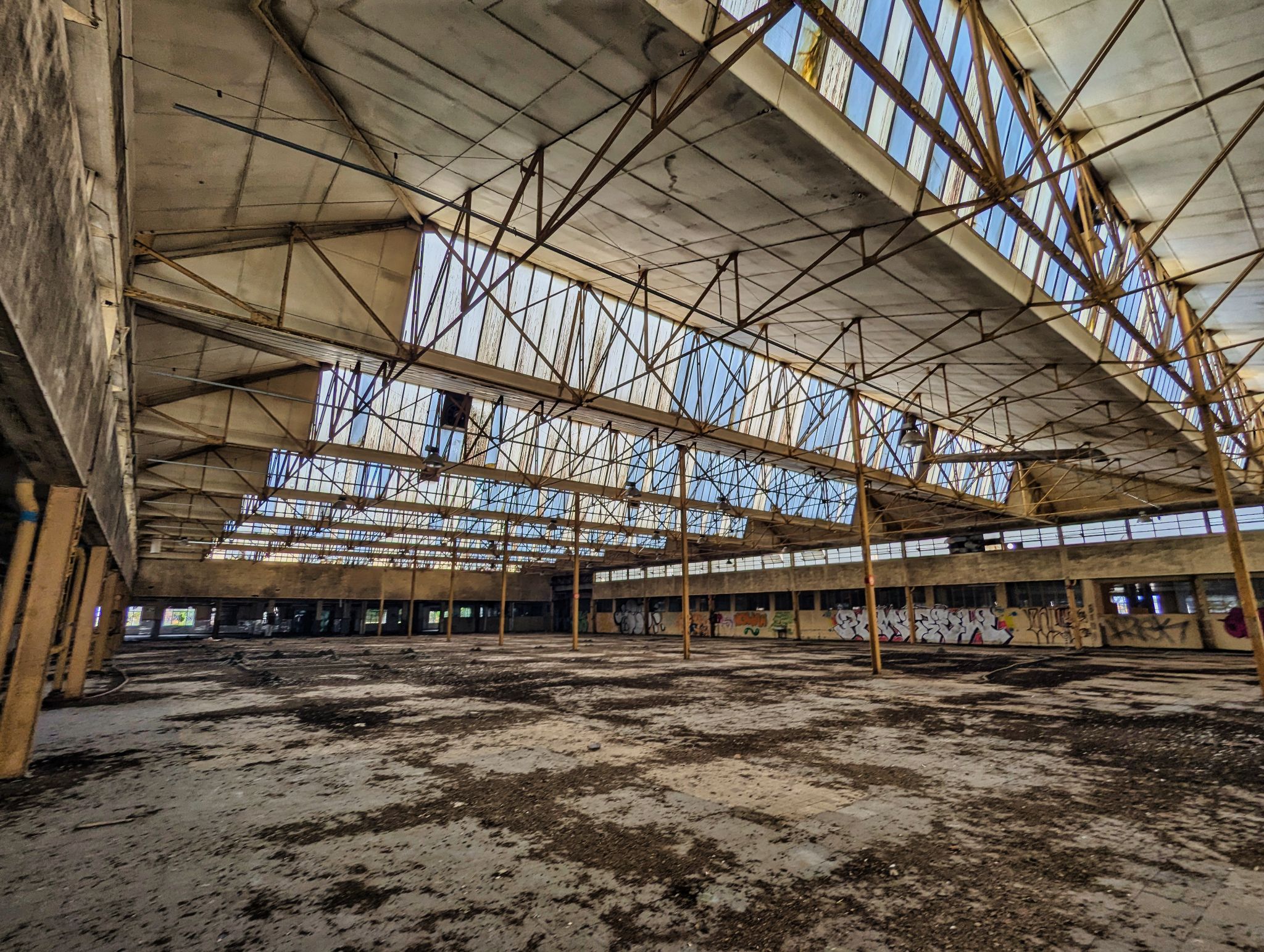 PXL 20241020 094717567