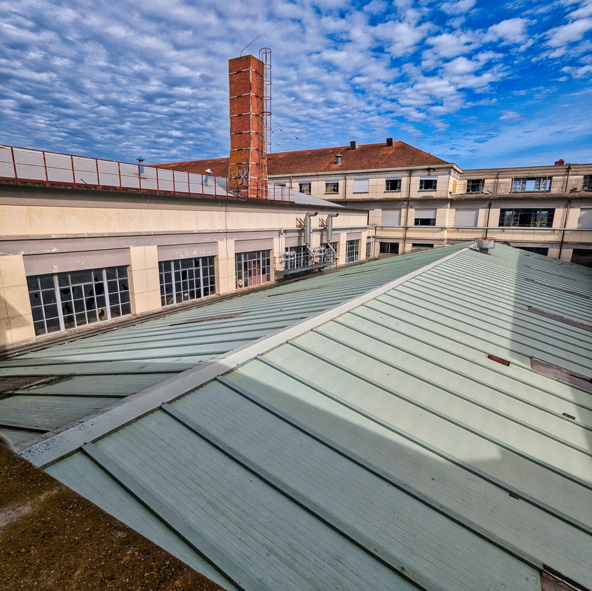 PXL 20241020 103658448