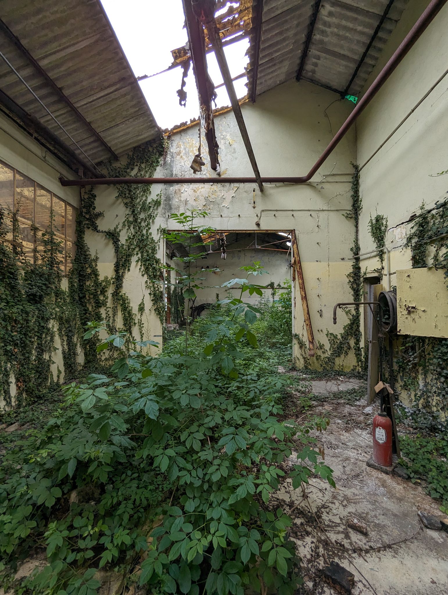 PXL 20240526 091205625