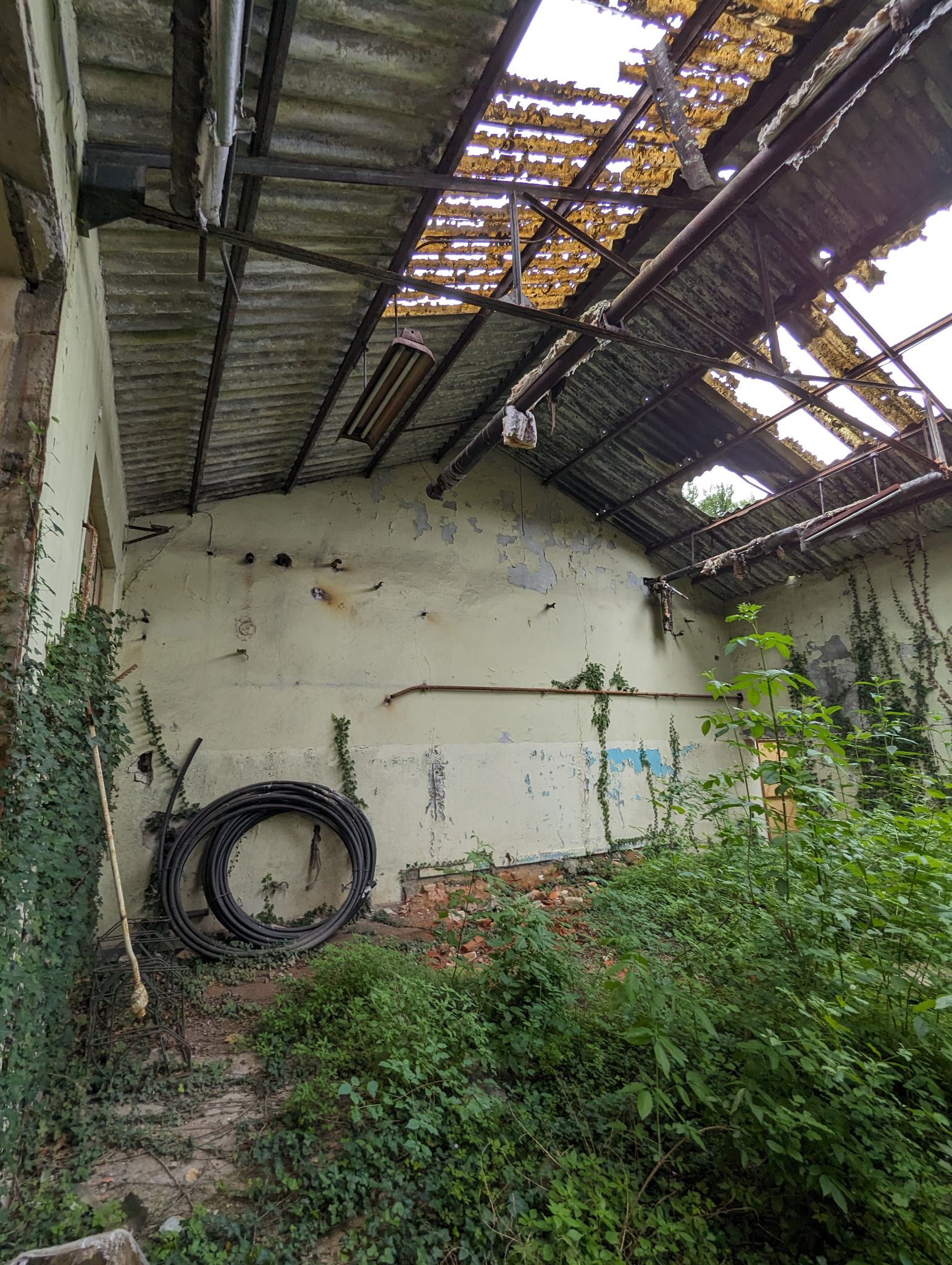 PXL 20240526 091310849