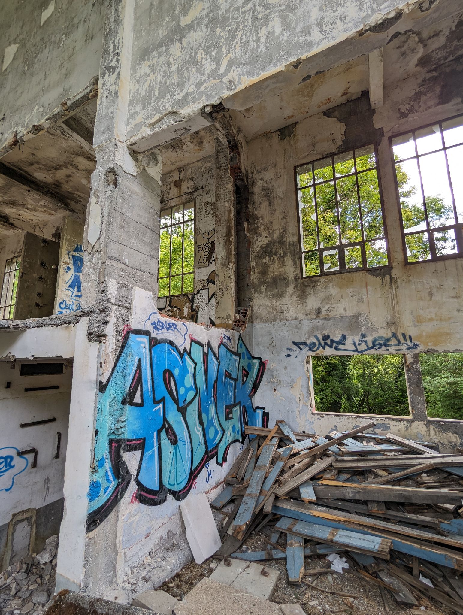 PXL 20240614 101825207