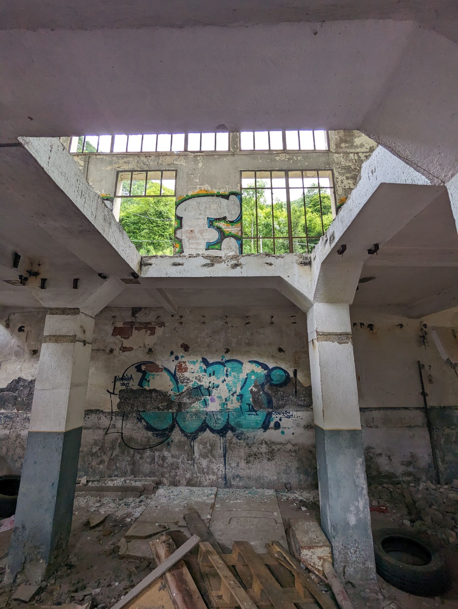 PXL 20240614 101935697