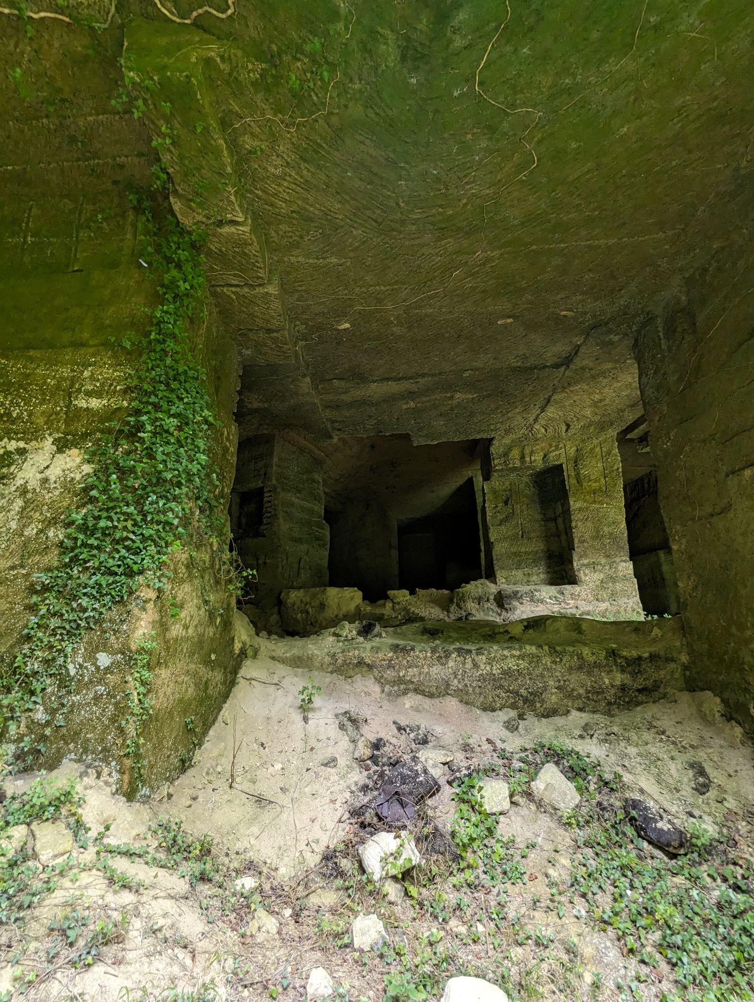 PXL 20240607 110446744