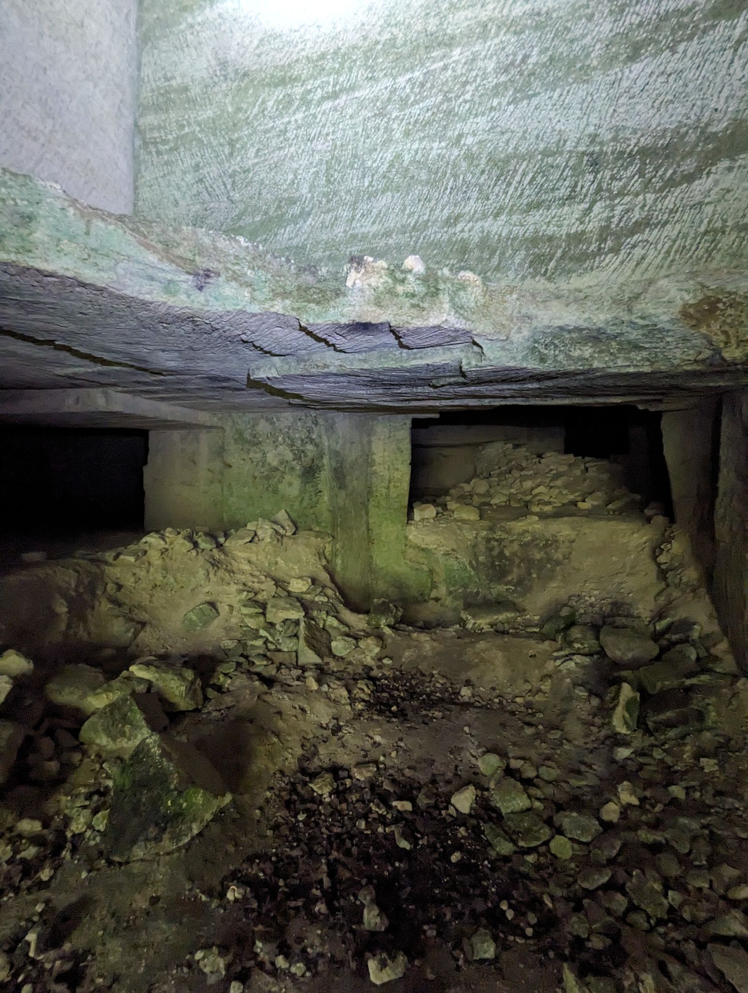 PXL 20240607 110603795