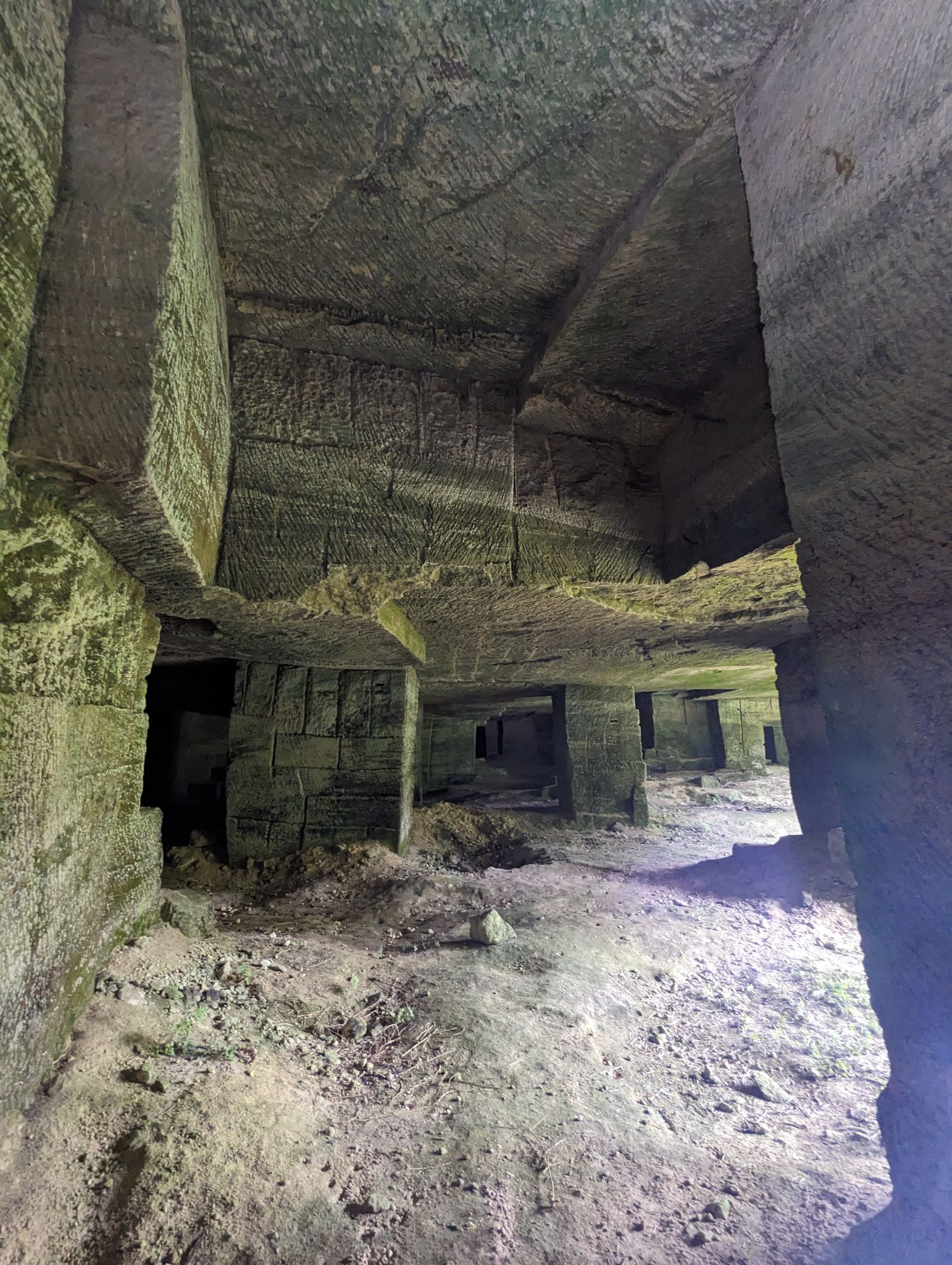 PXL 20240607 110722235