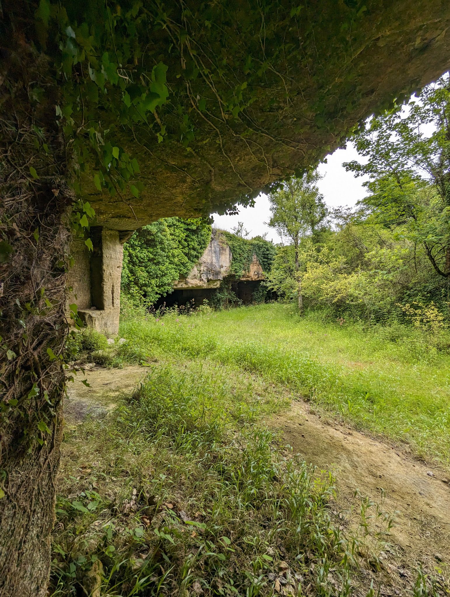 PXL 20240607 110826648