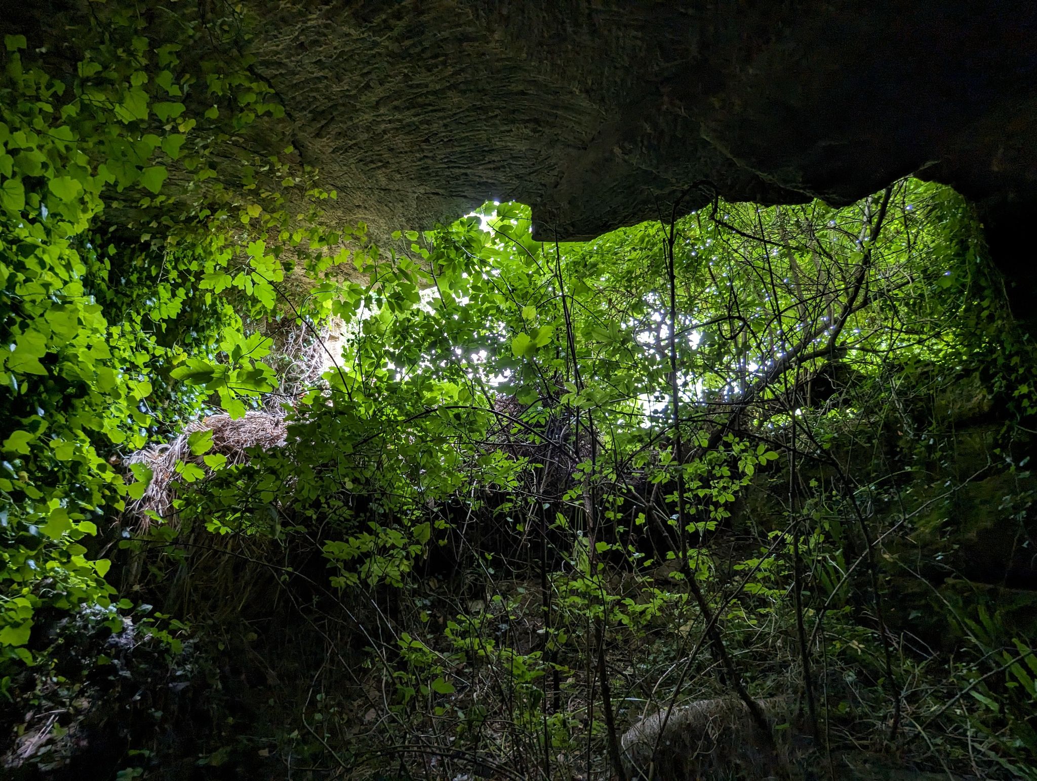 PXL 20240607 111130345.MP