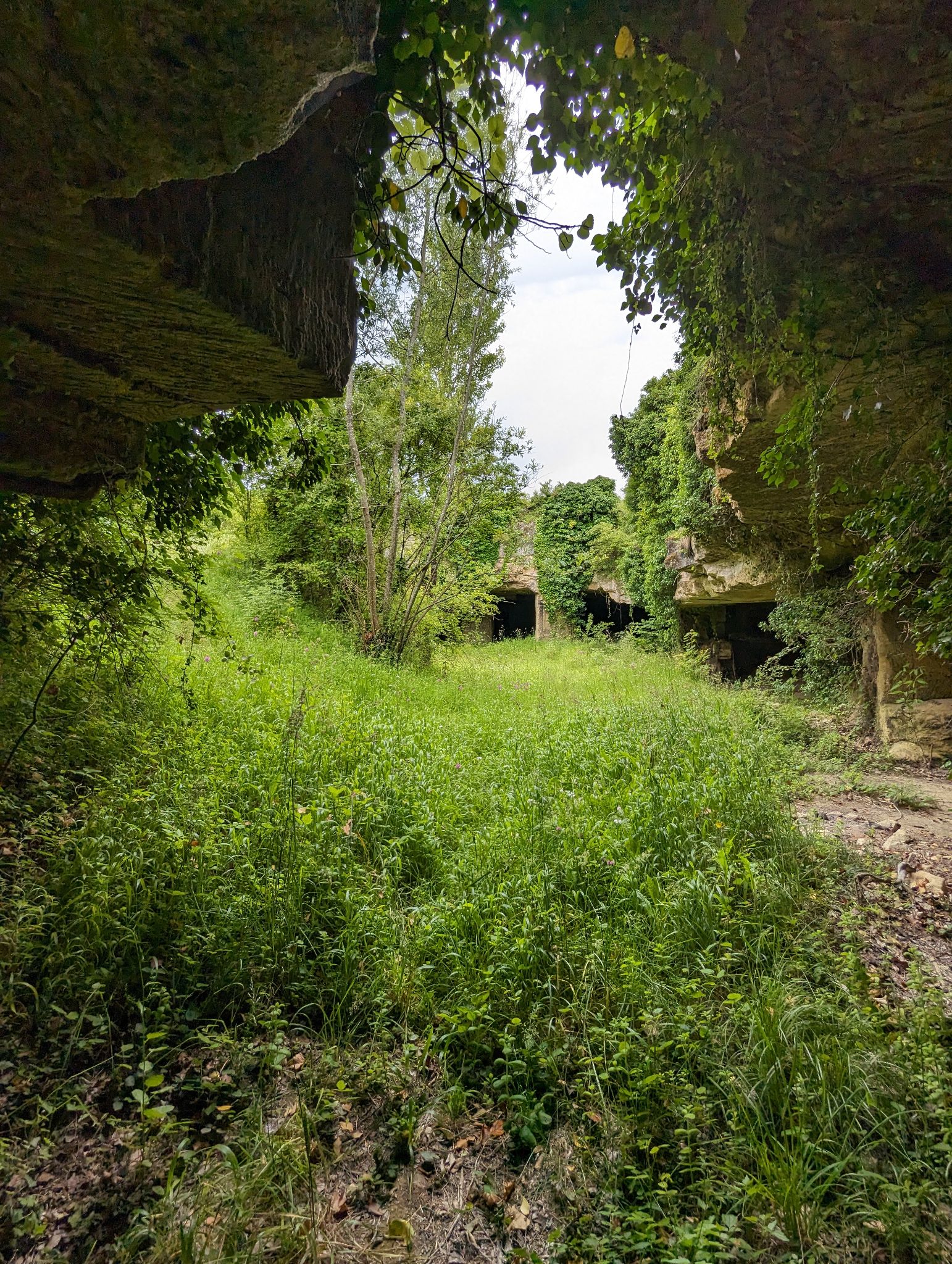 PXL 20240607 111209572.MP