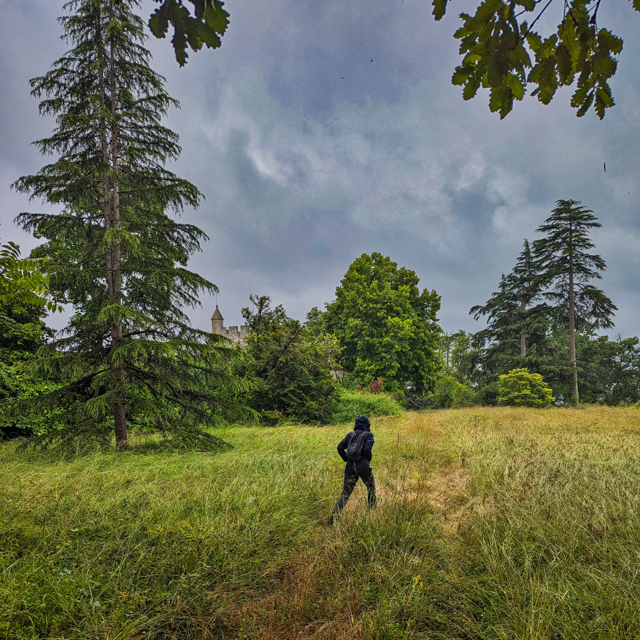 PXL 20240609 105751267