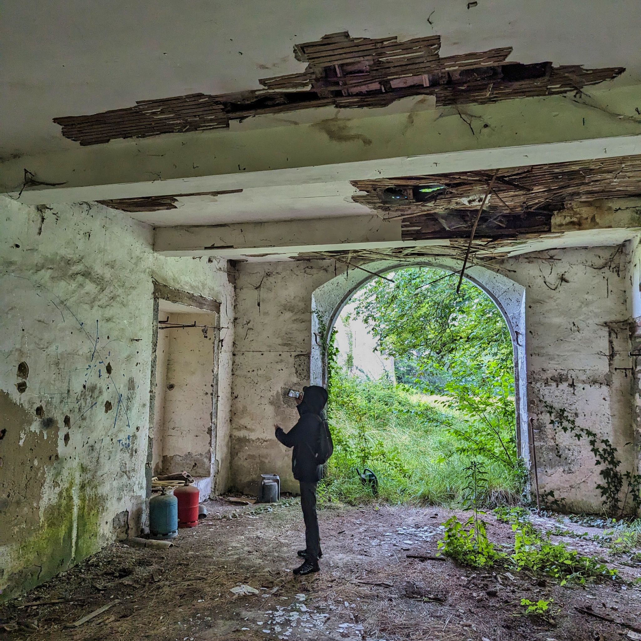 PXL 20240609 110153855