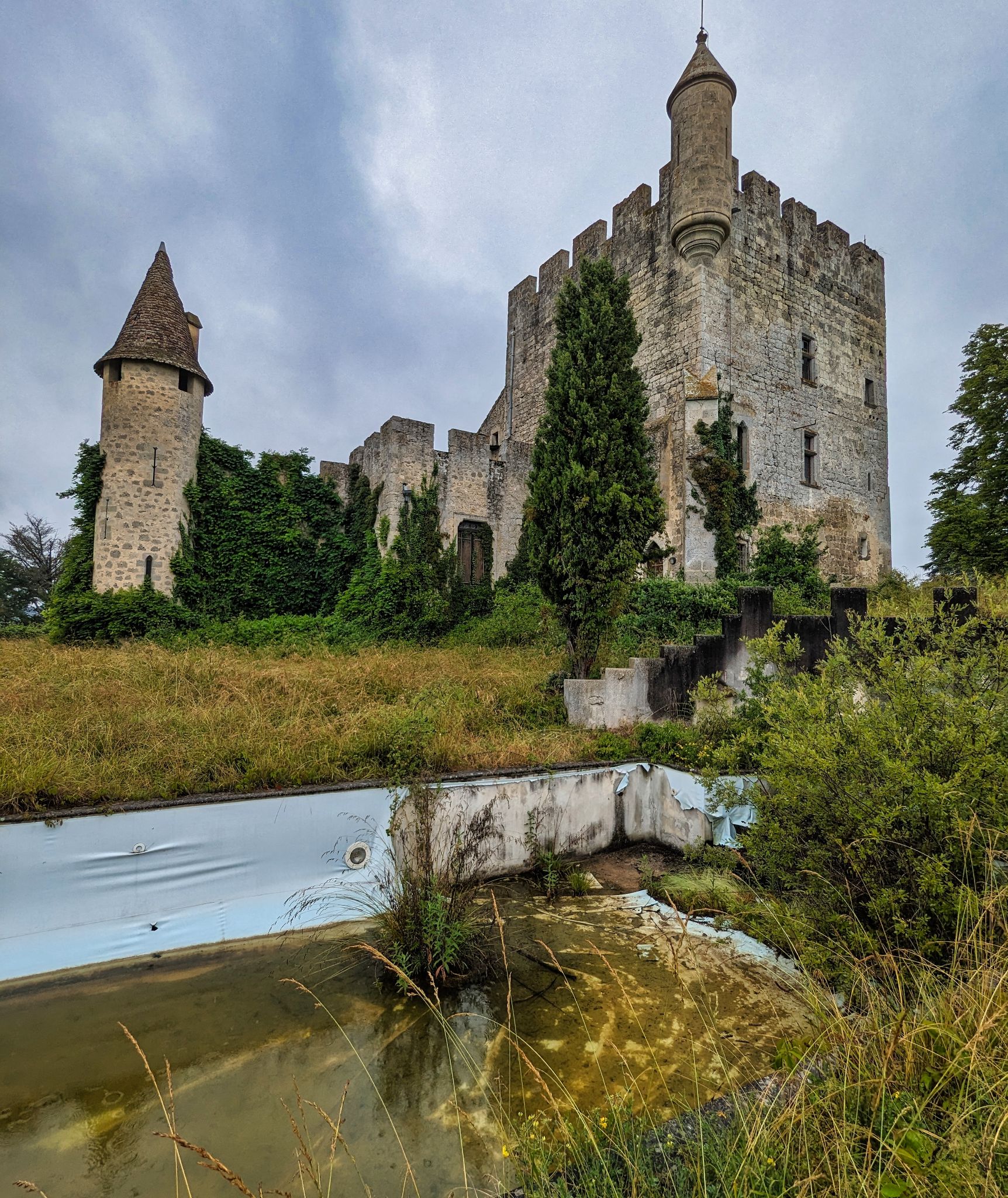 PXL 20240609 110646352