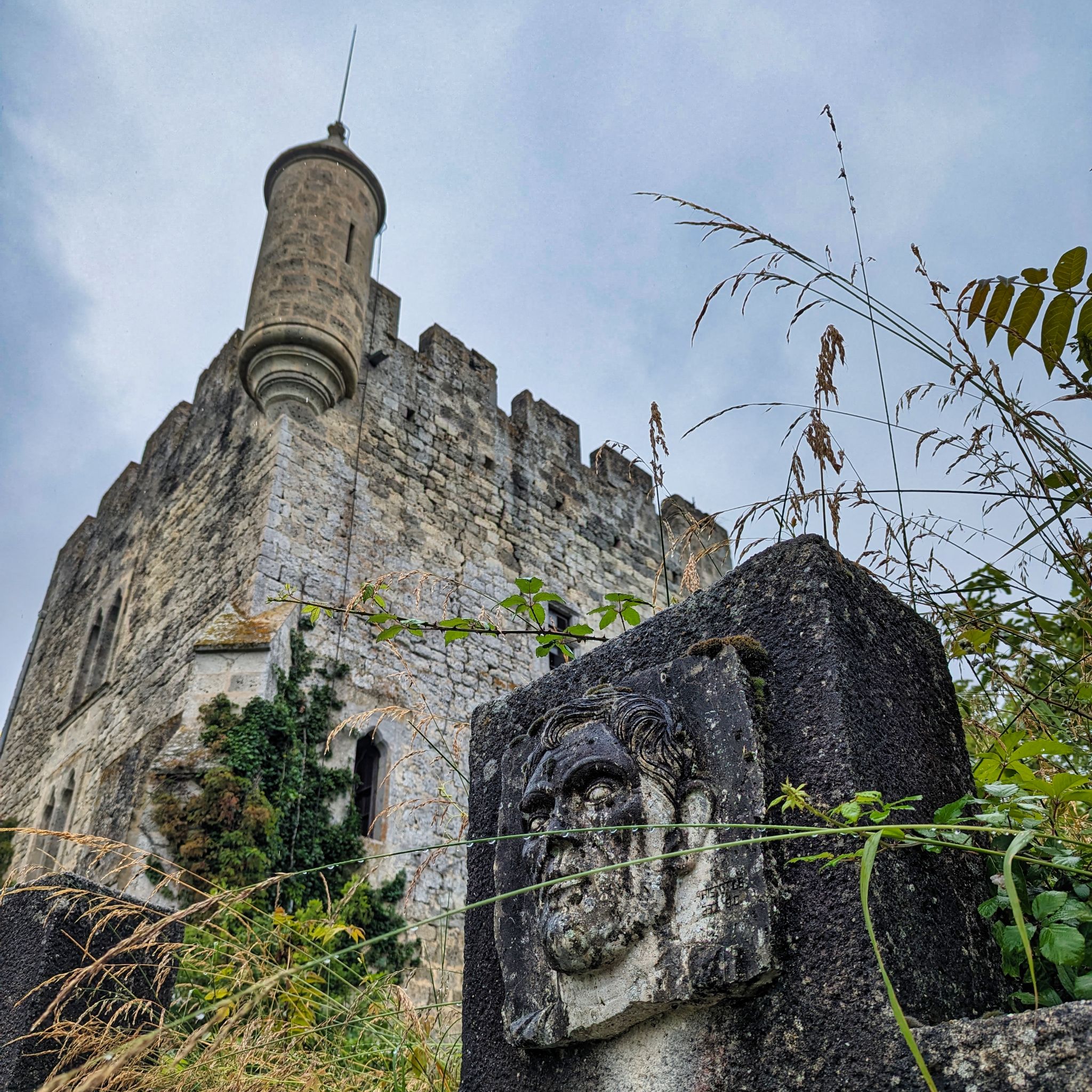 PXL 20240609 110716789