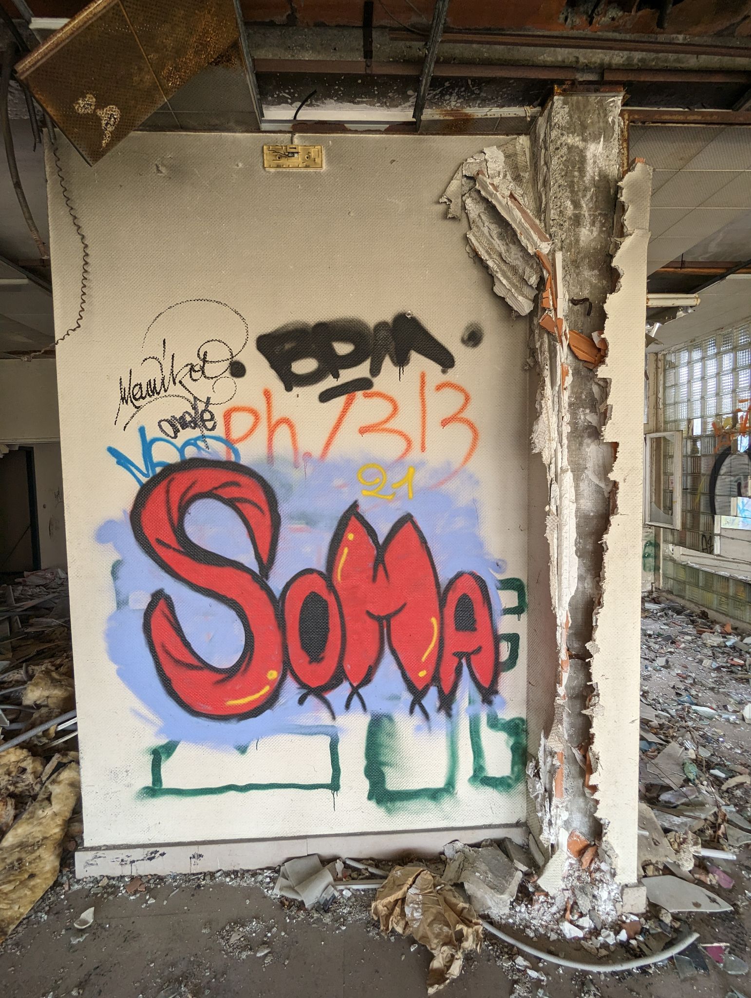 PXL 20240316 124424656