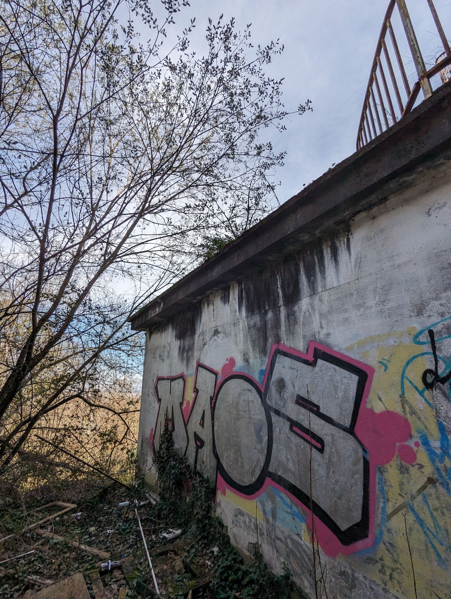 PXL 20240316 124500376