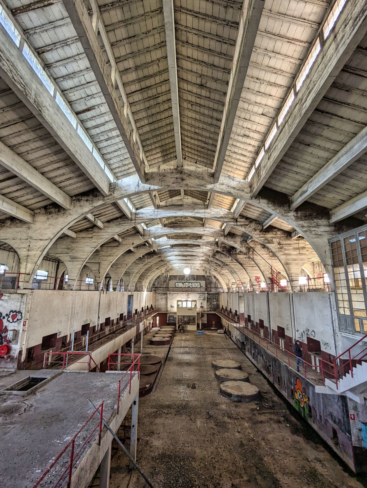 PXL 20241124 131436482