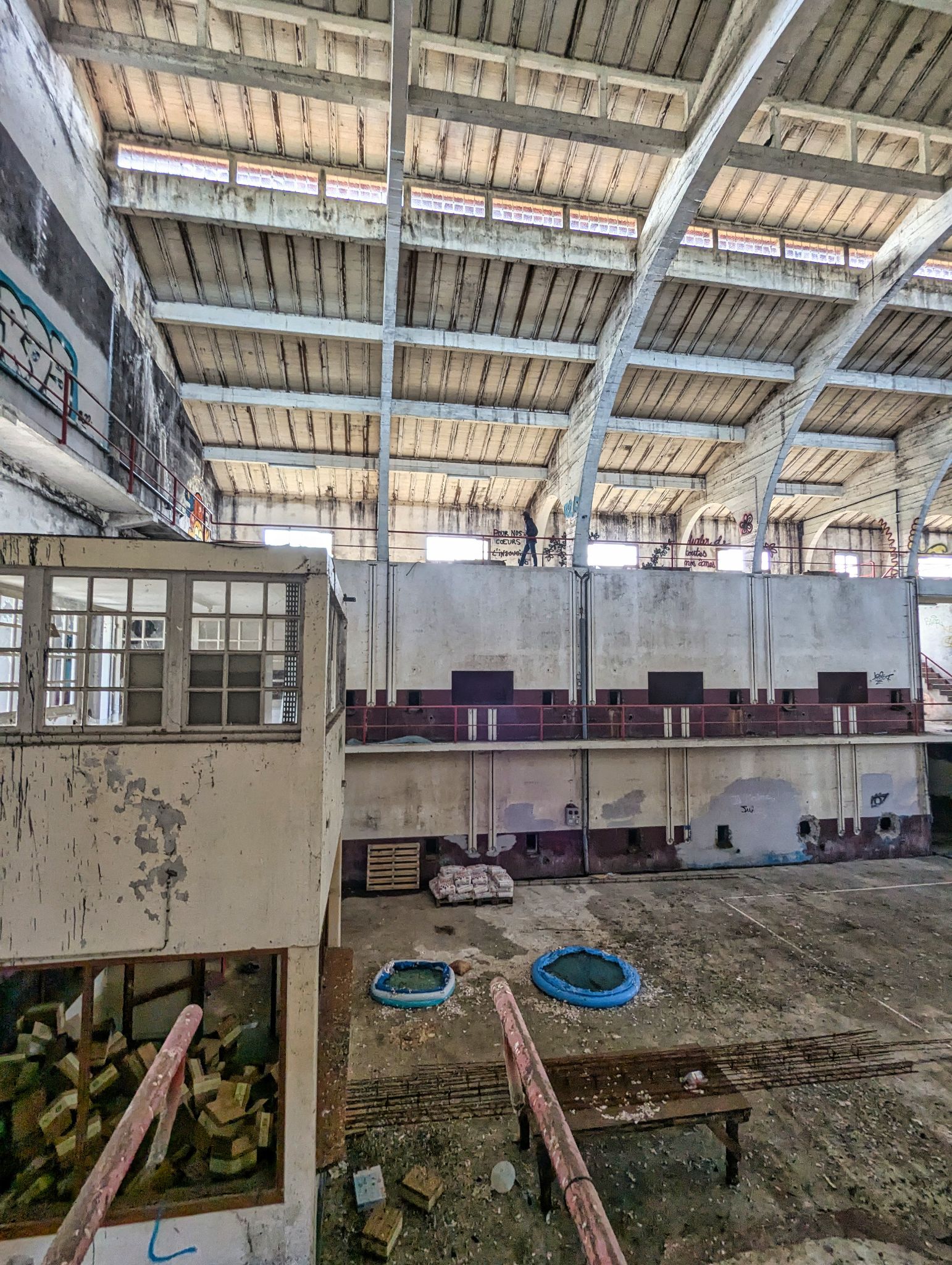 PXL 20241124 131701730