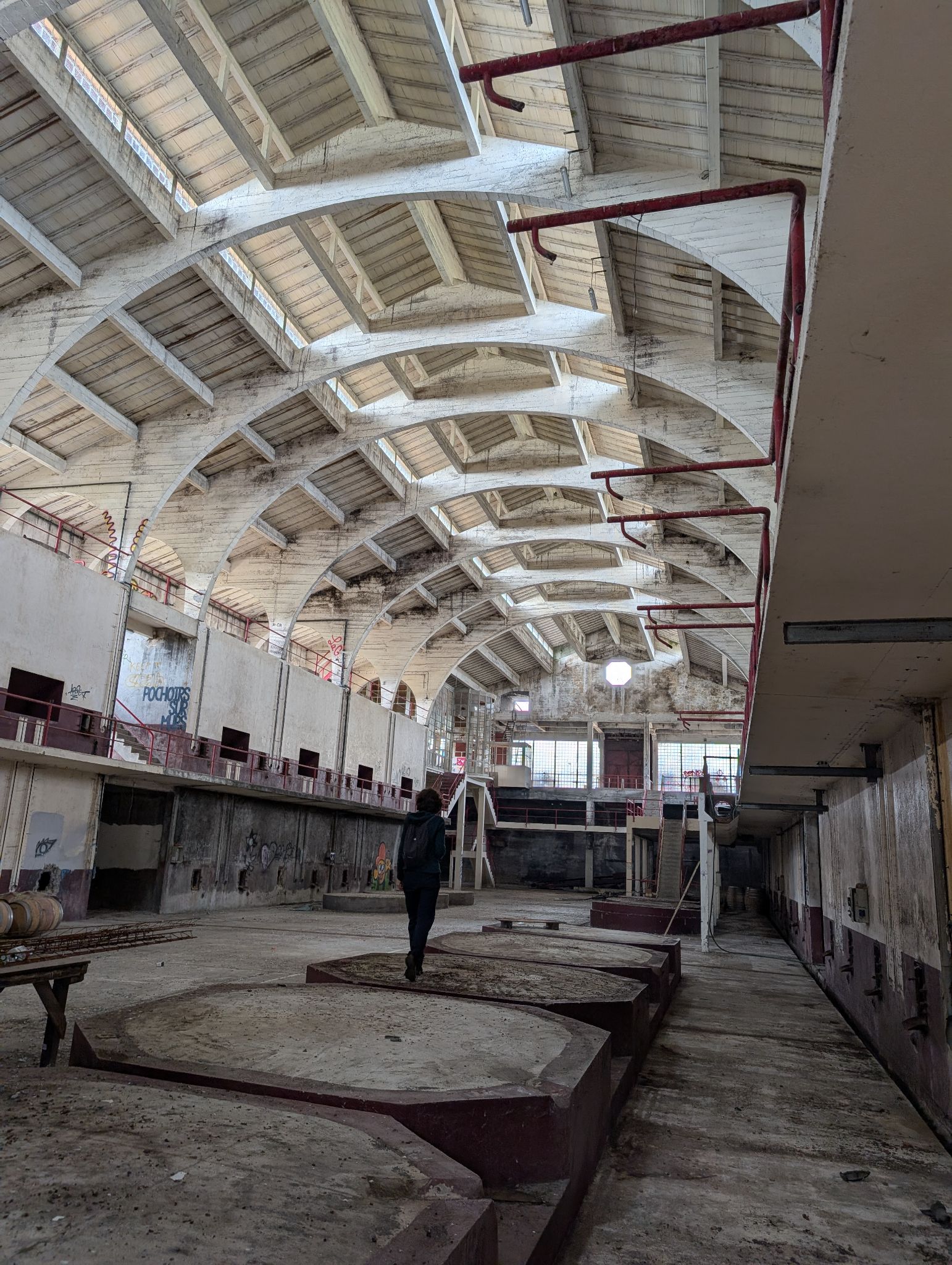 PXL 20250316 115021472