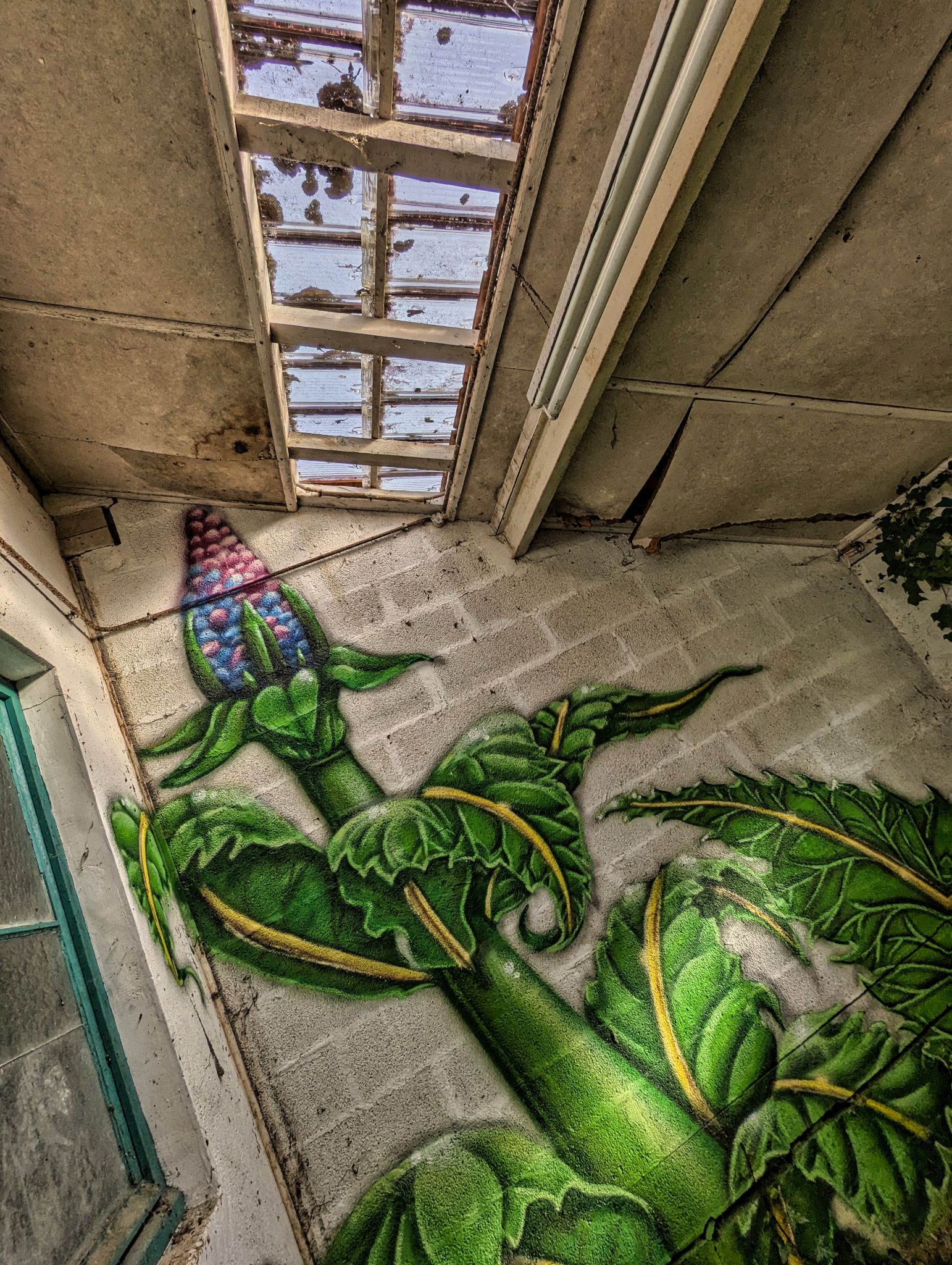 PXL 20241124 092825452