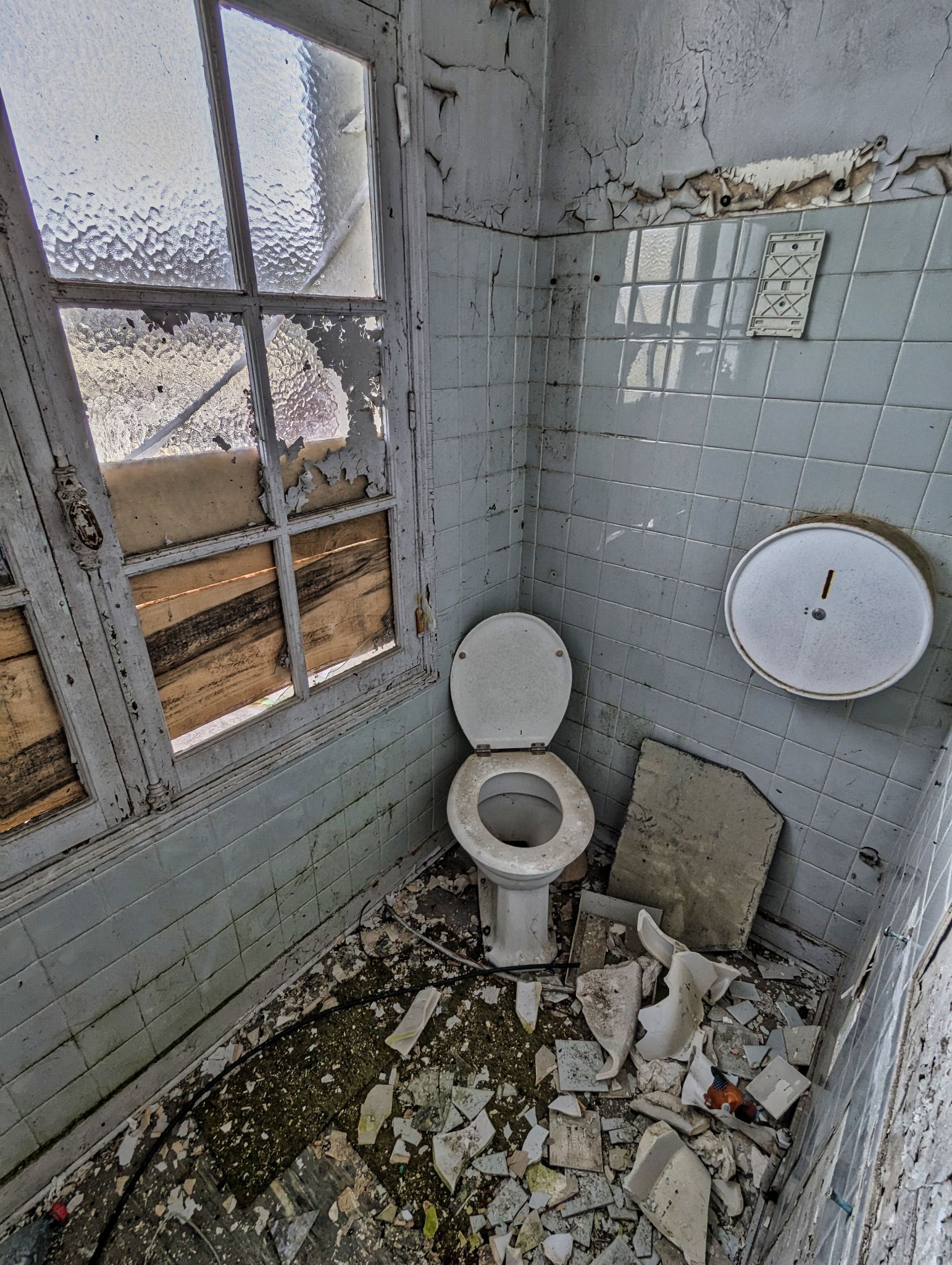 PXL 20241124 093127569