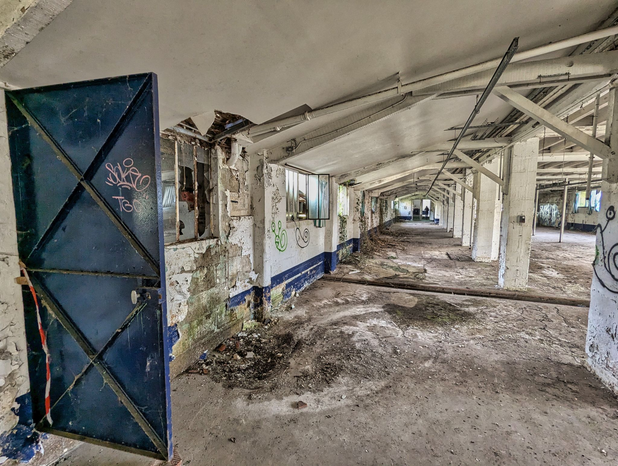 PXL 20241124 093828314