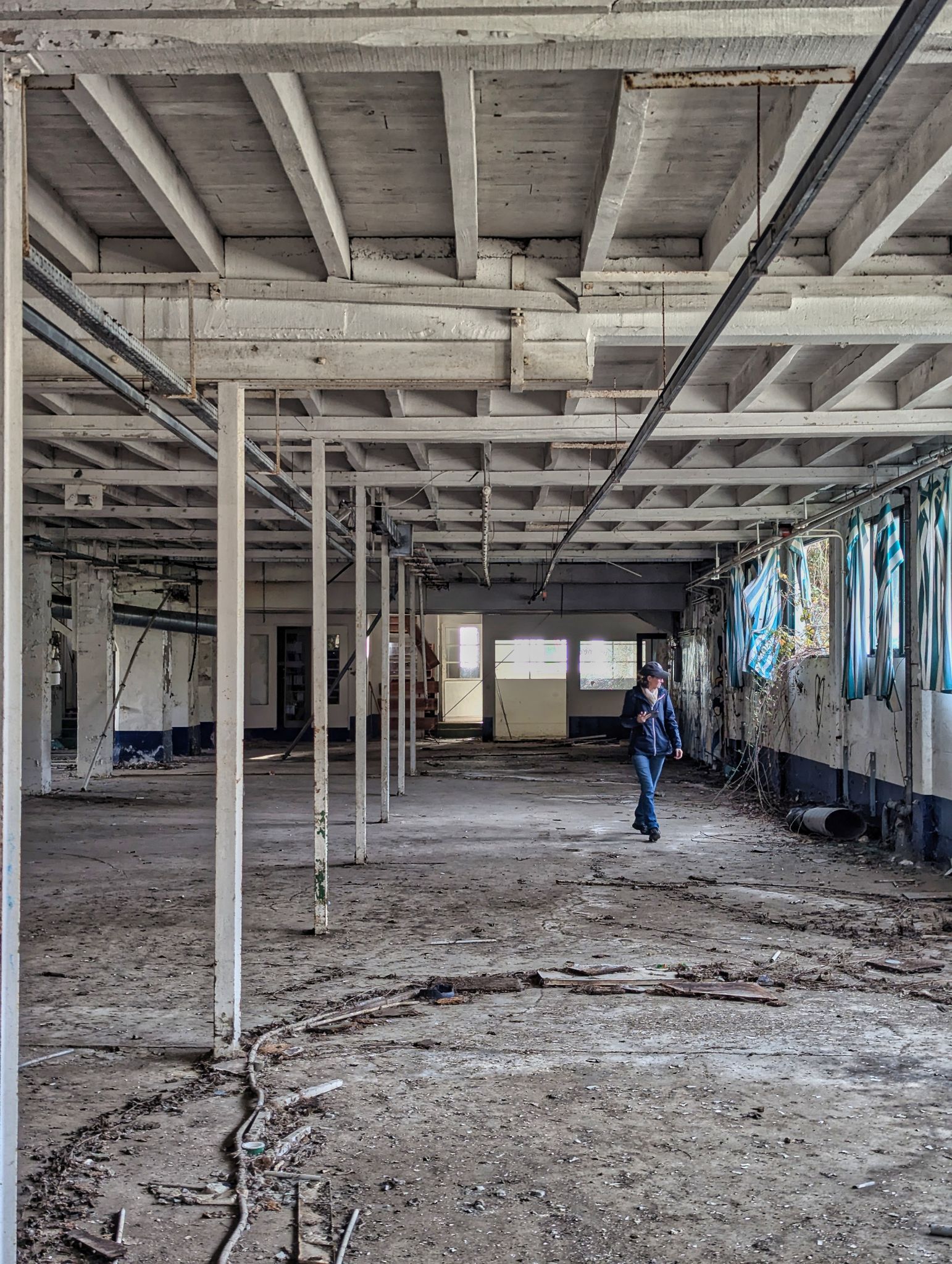 PXL 20241124 093948043