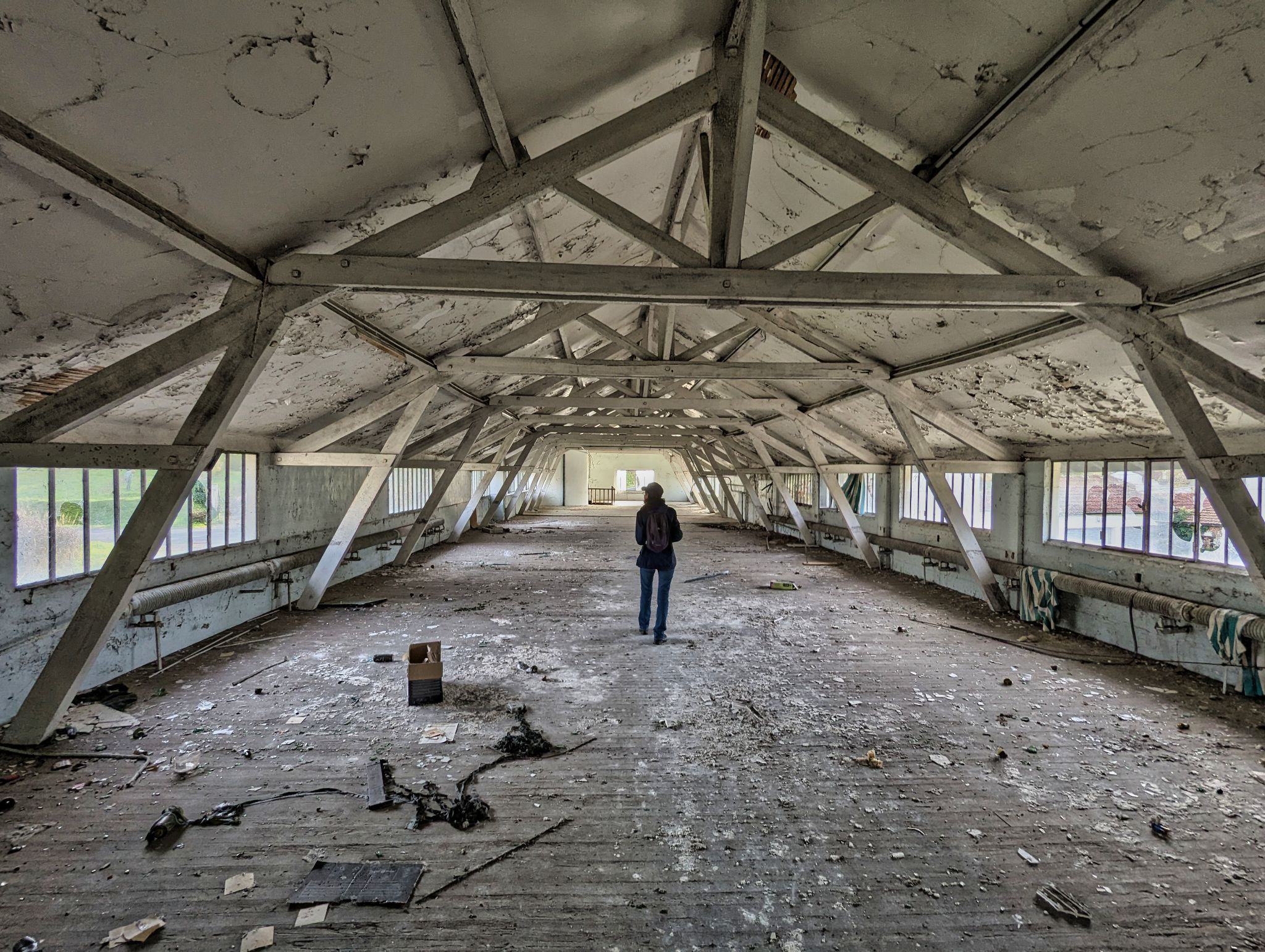 PXL 20241124 094633568