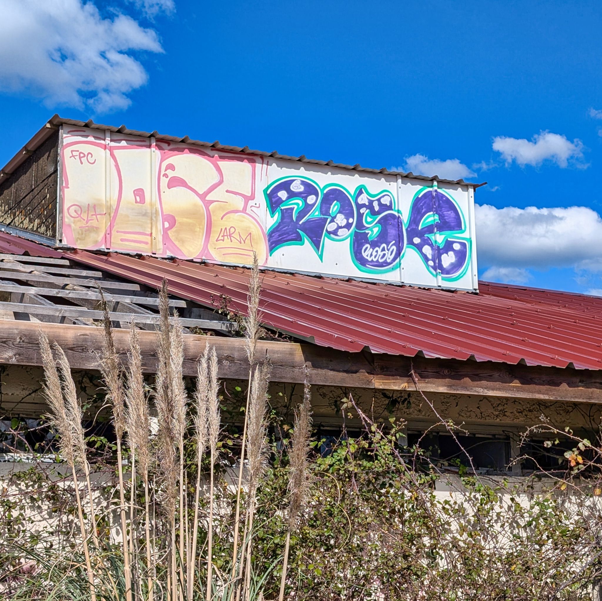 PXL 20250319 144131004