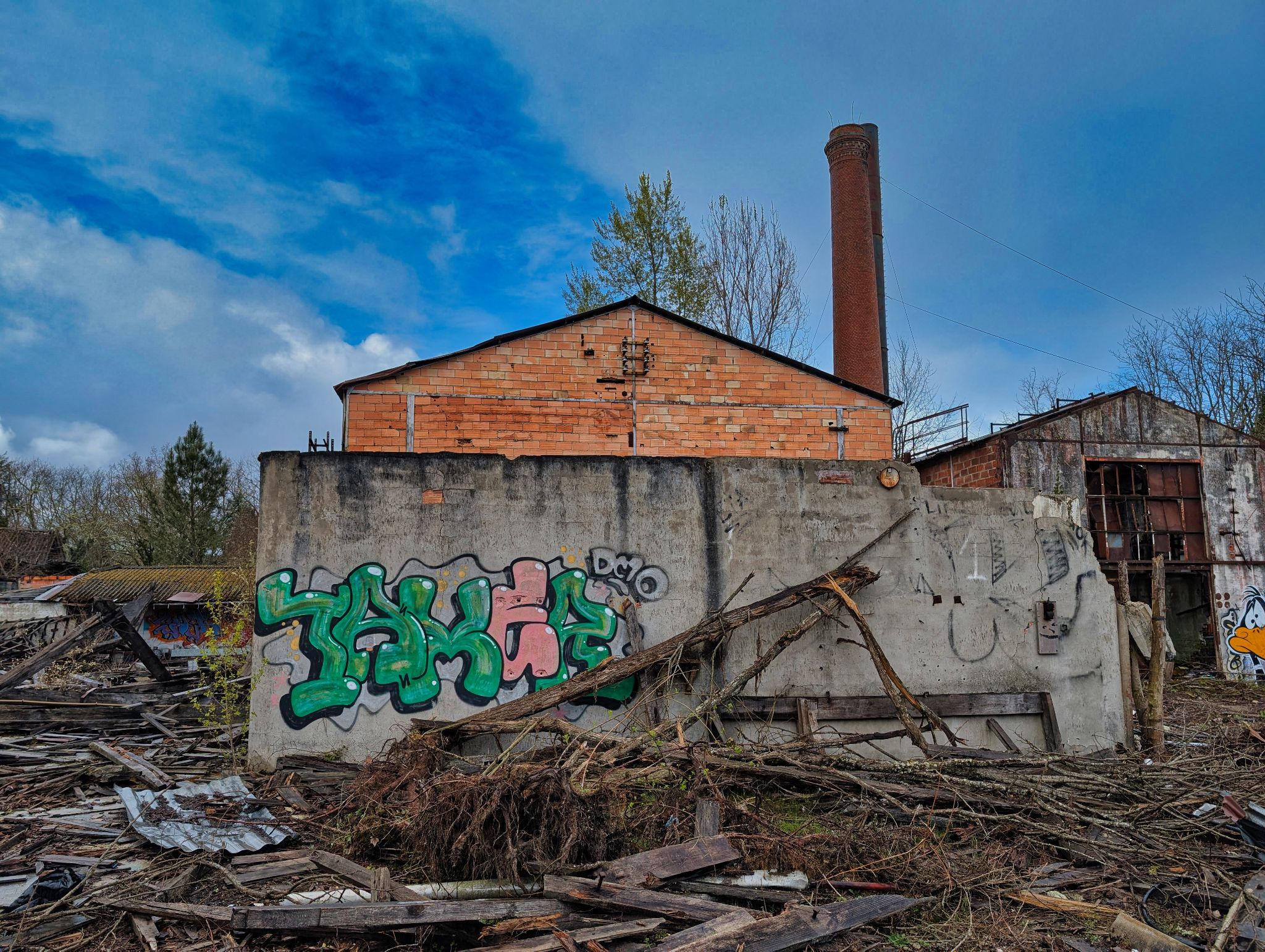 PXL 20250323 152635304