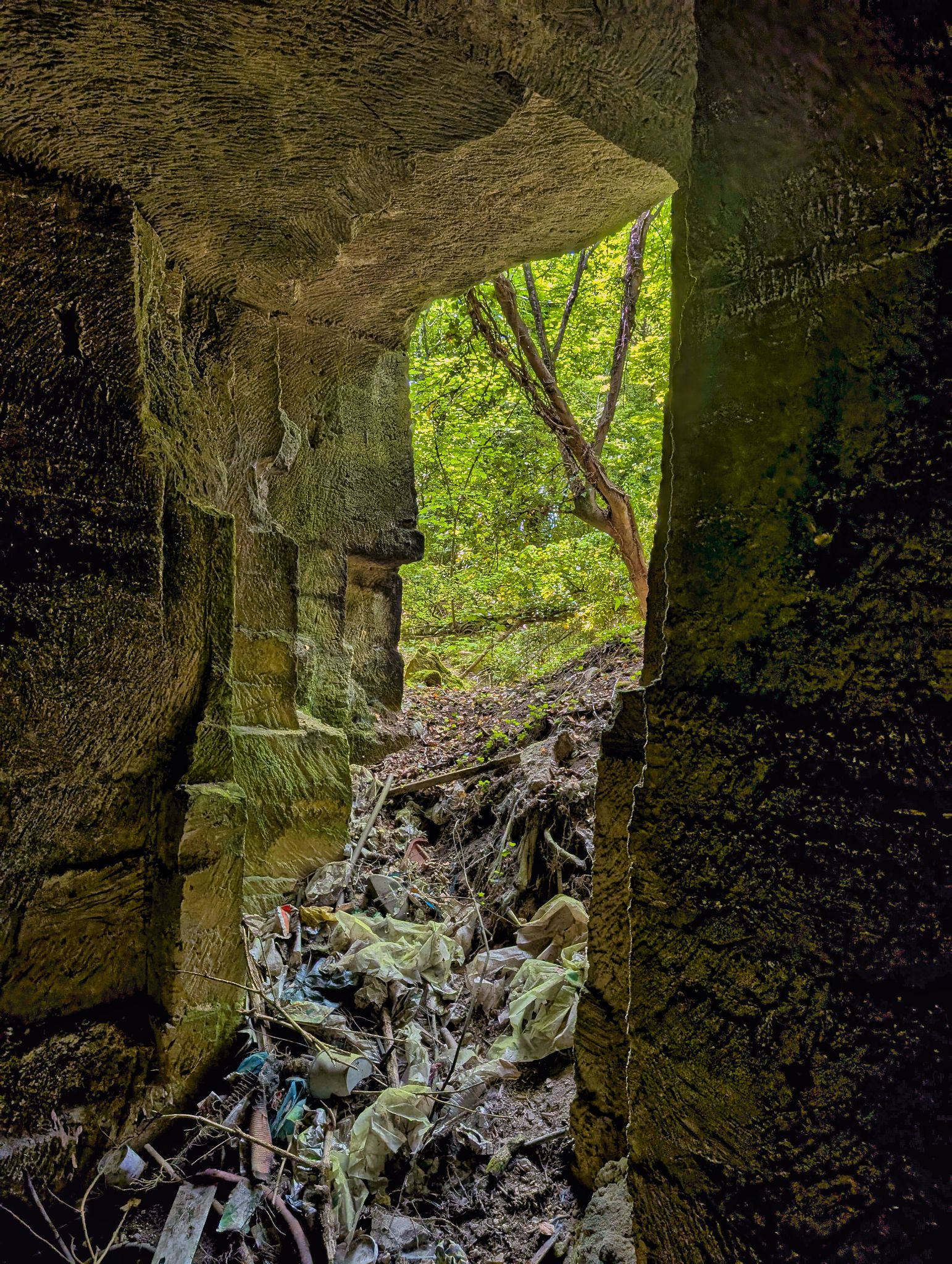 PXL 20250524 131946816