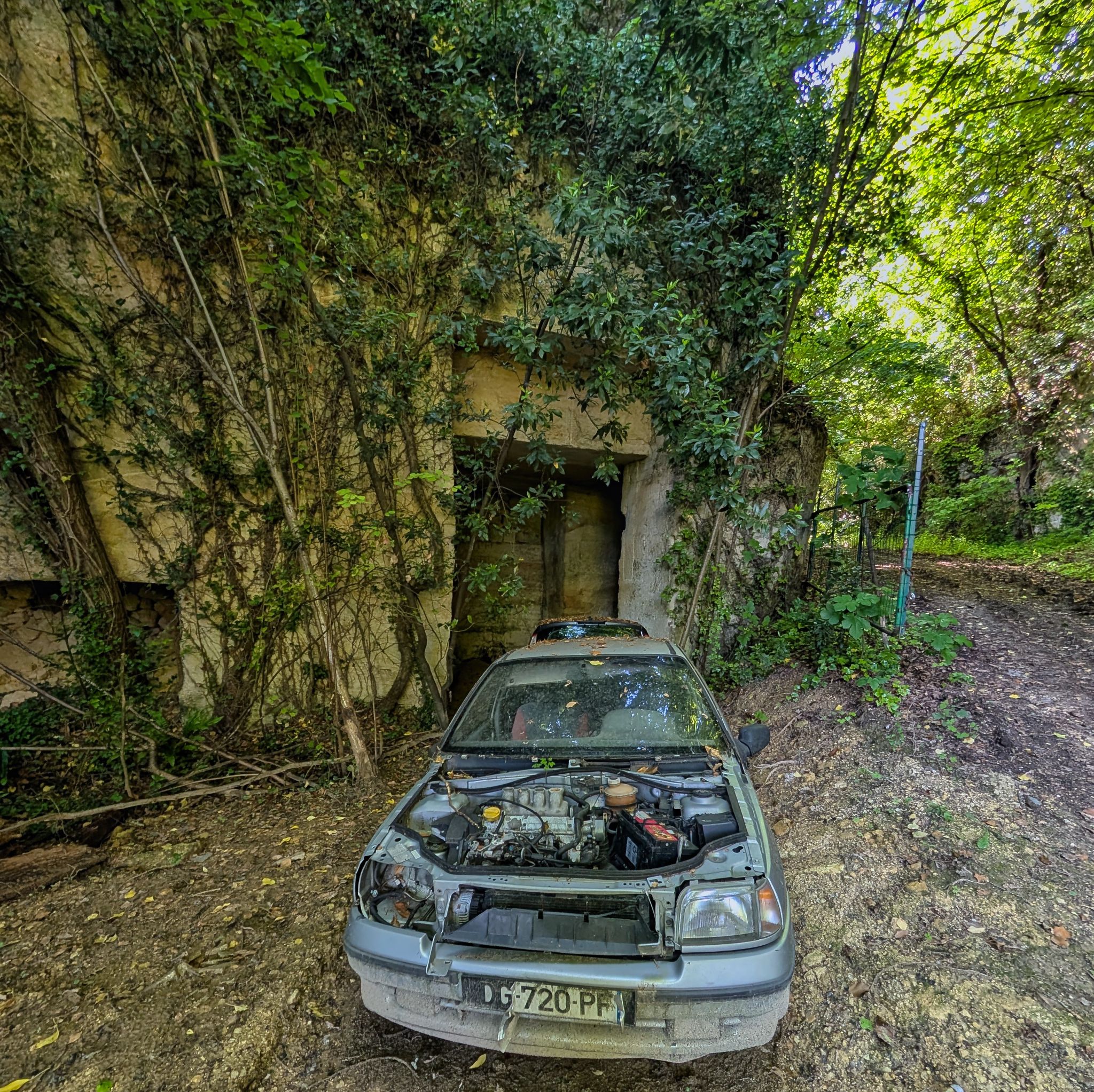 PXL 20250524 153534529.MP