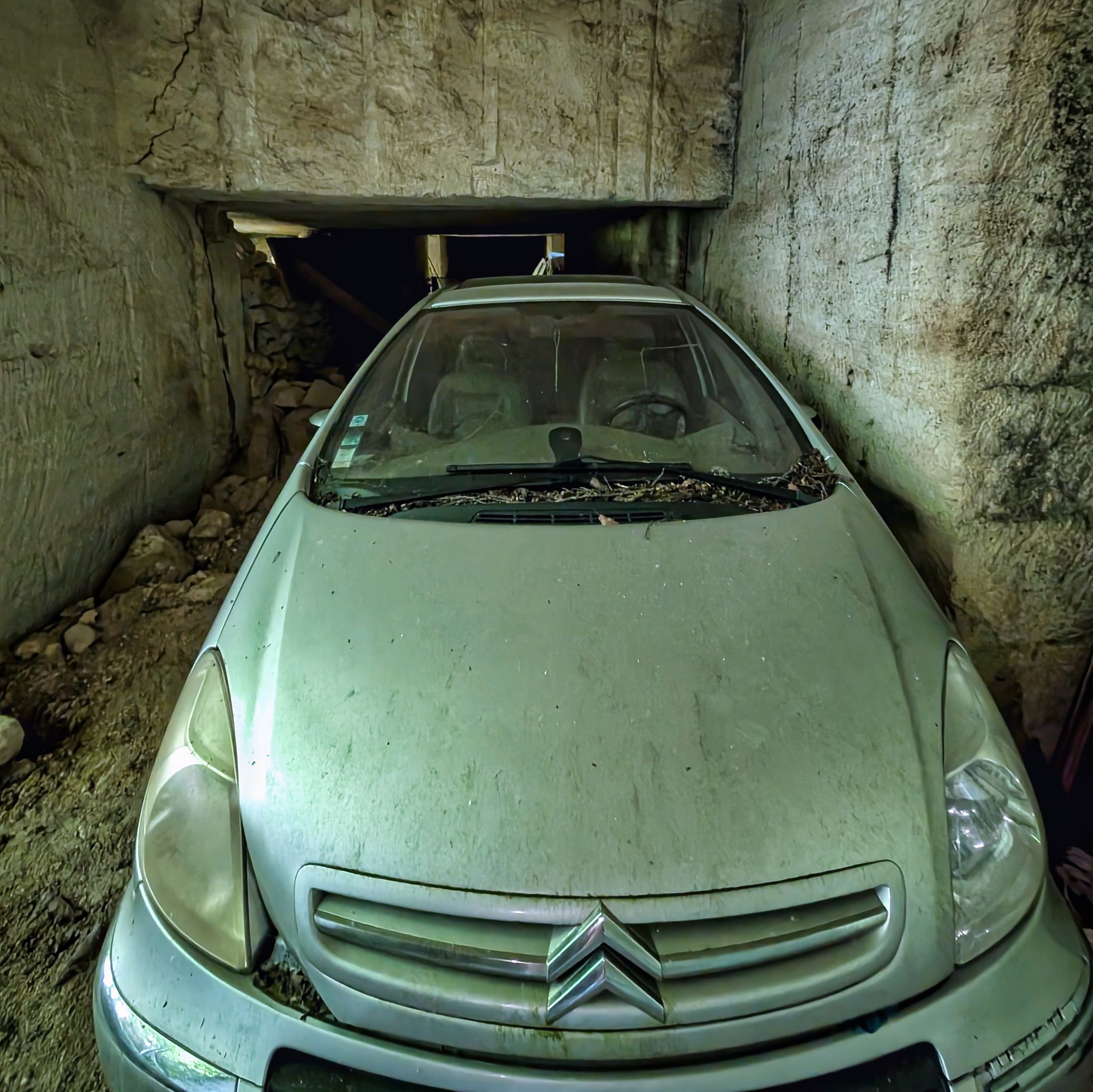 PXL 20250524 153622574