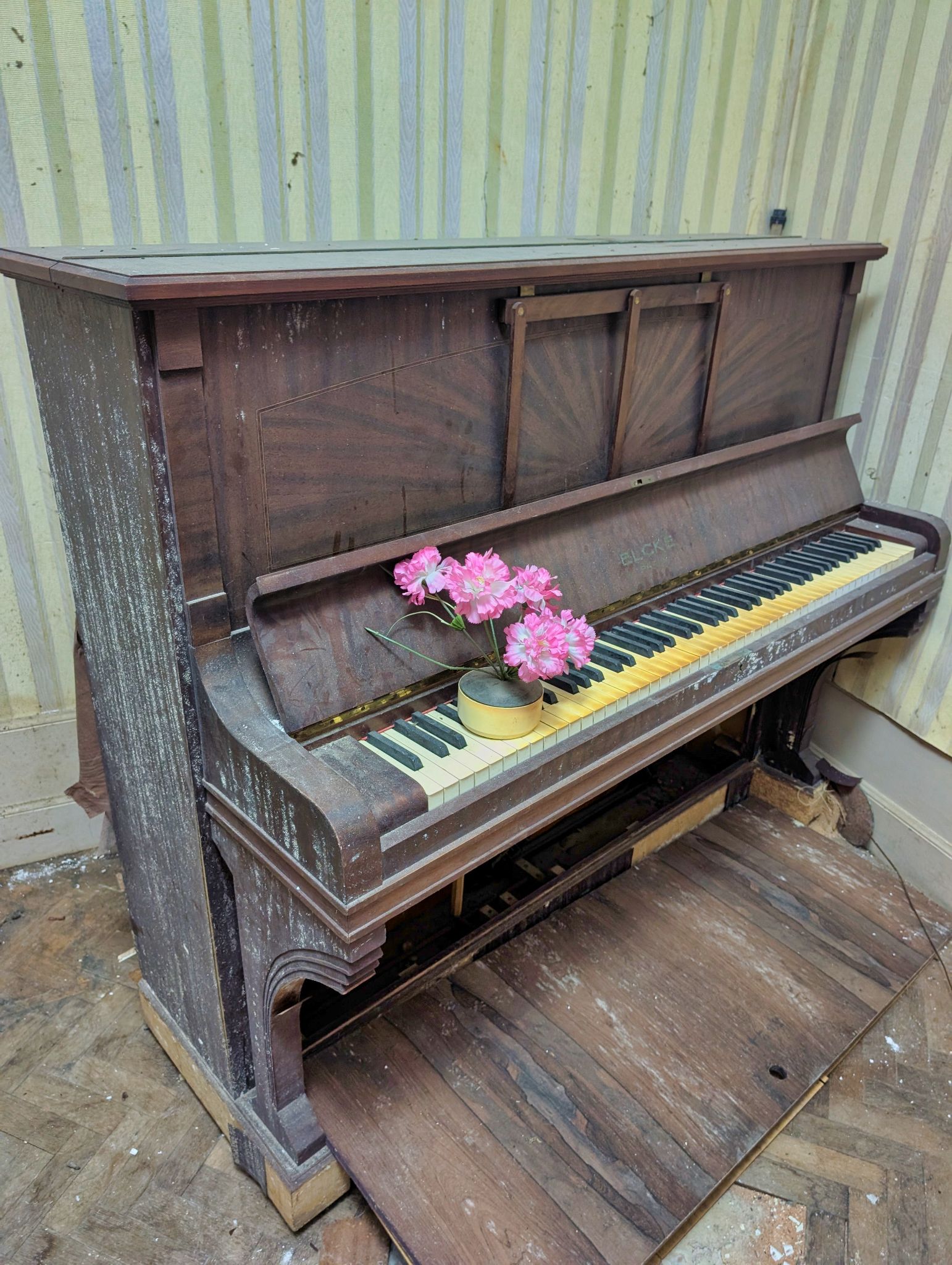 PXL 20250319 100648680