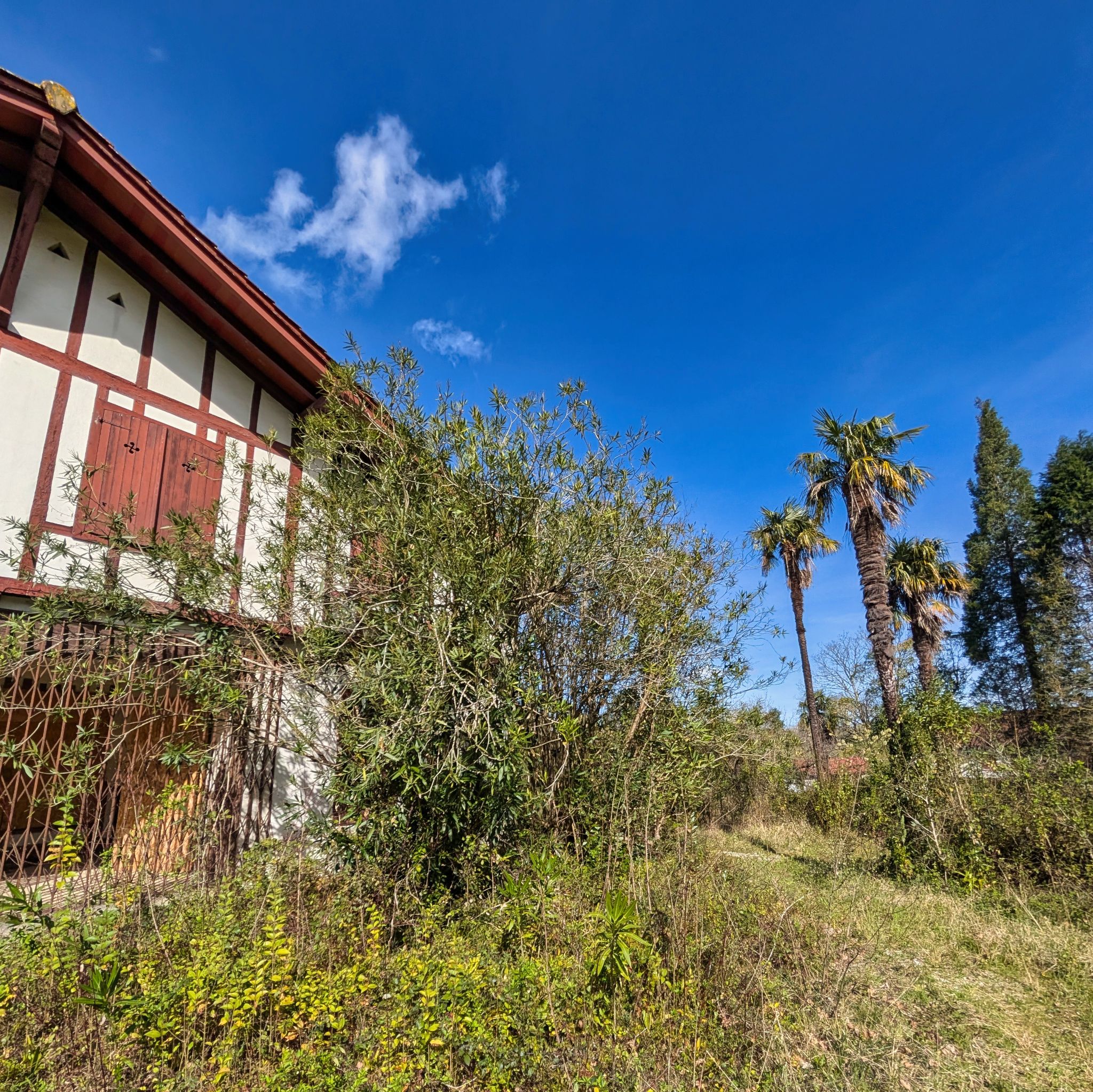 PXL 20250319 101018091